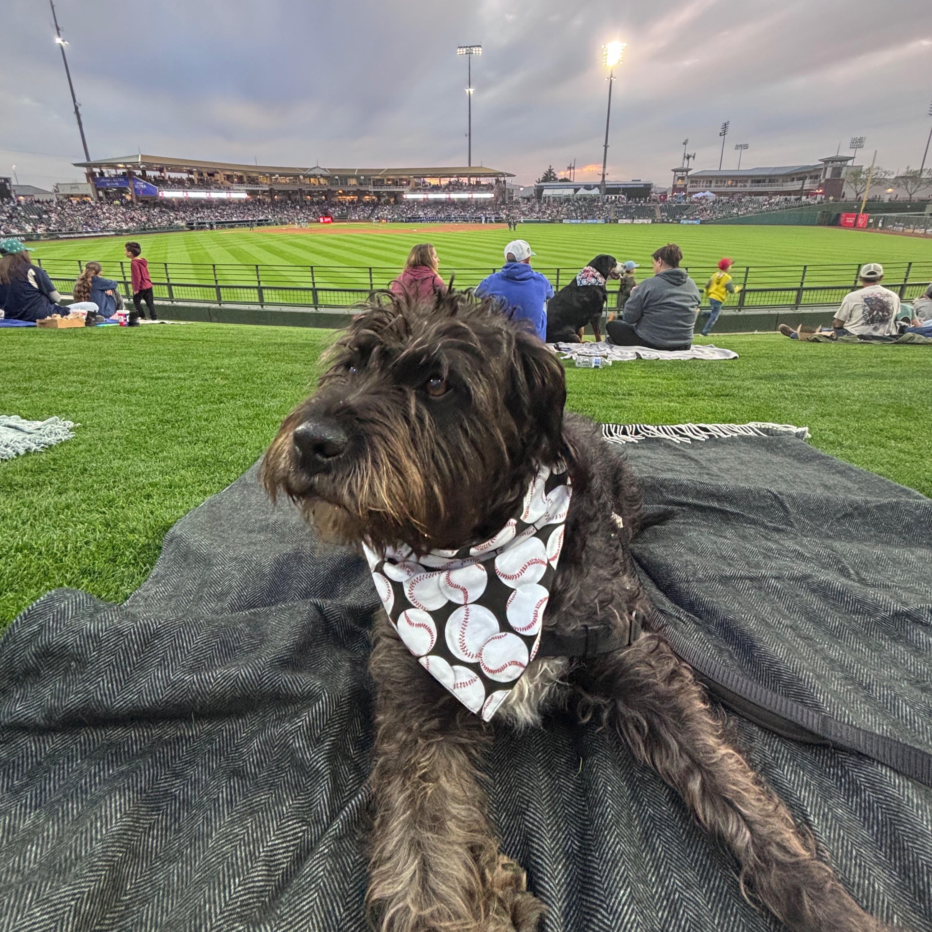 Season 2 Premier: The Cactus League