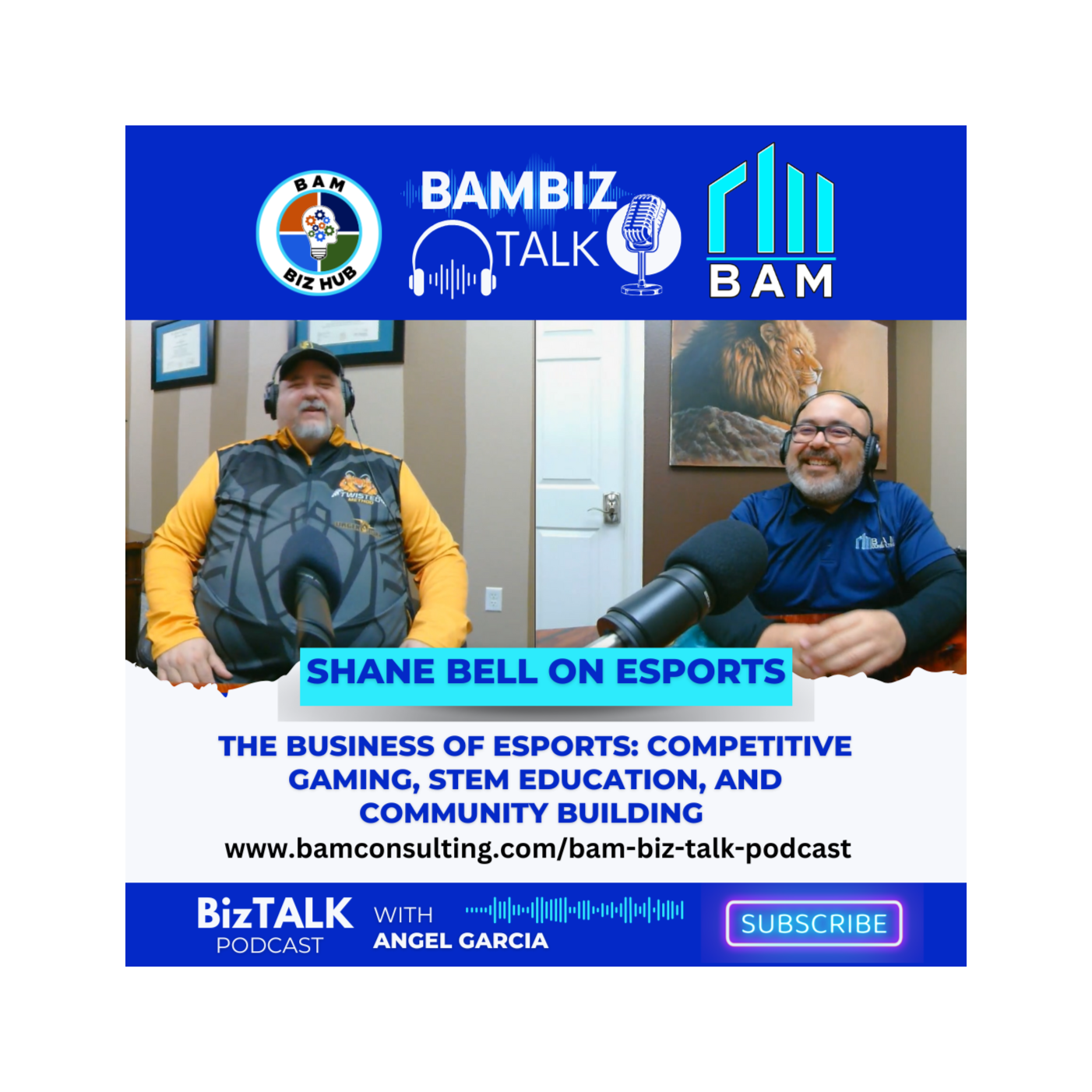 BAM BizTALK - Your Business Sidekick!
