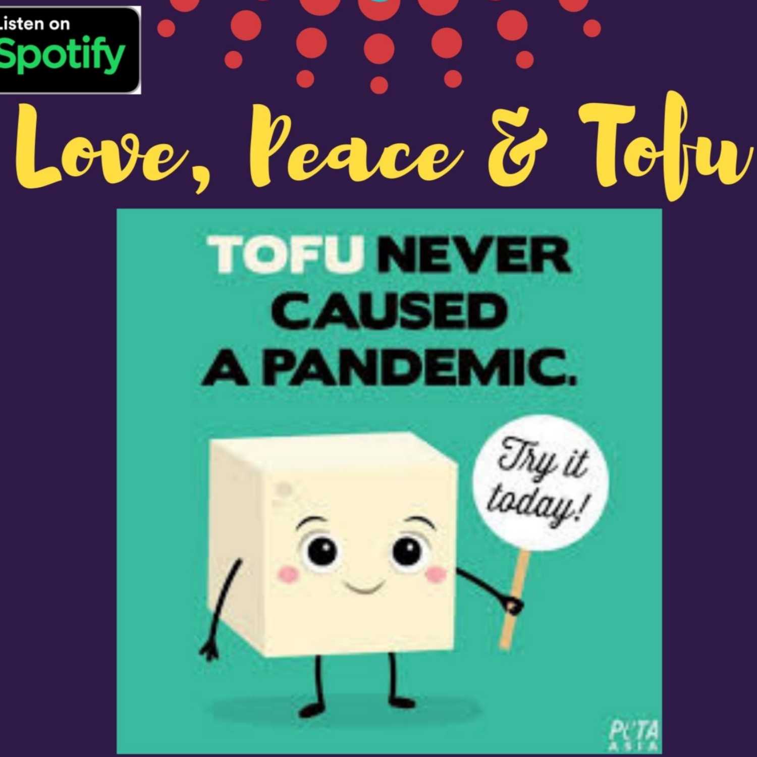 Love, Peace & Tofu von Daniela Noitz
