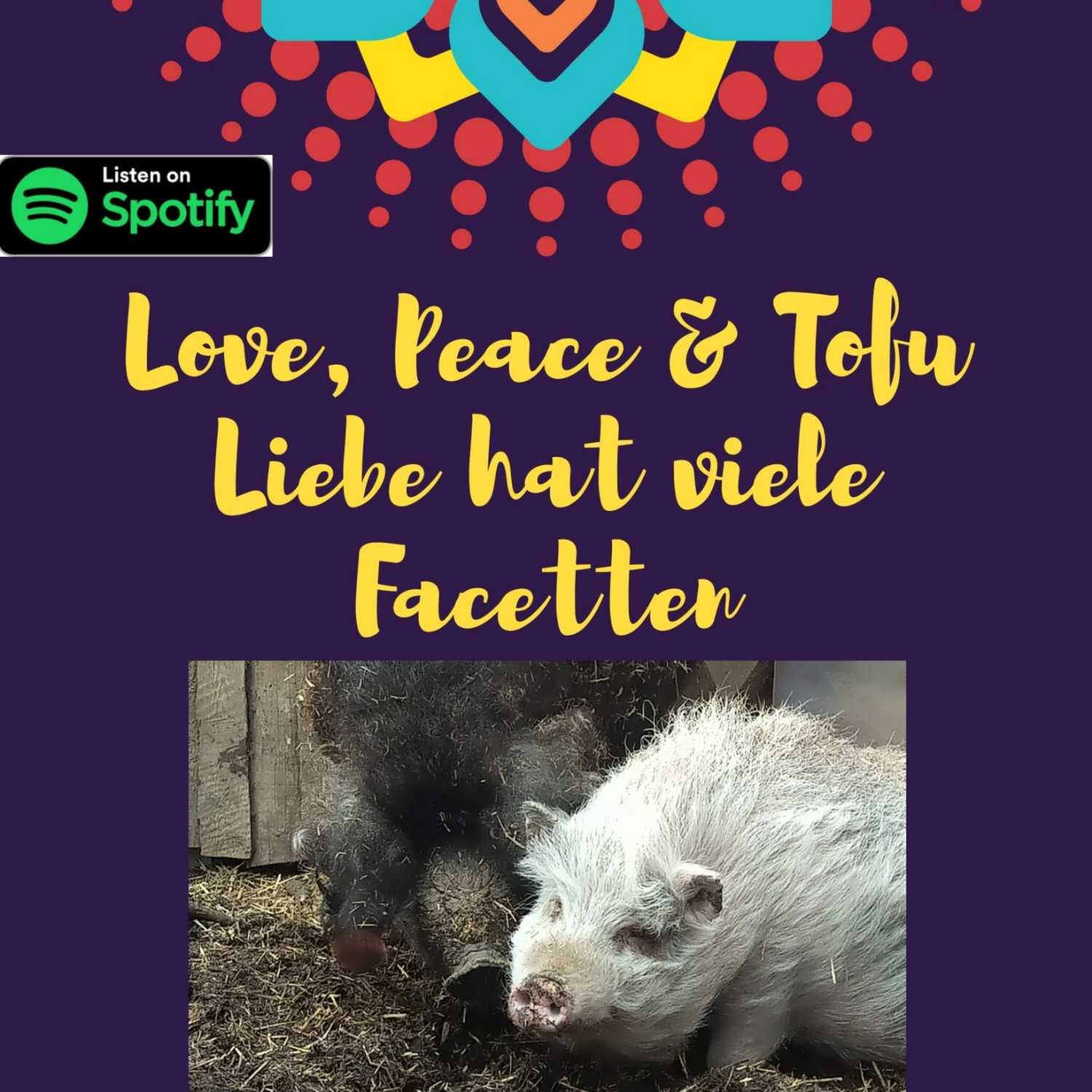 Love, Peace & Tofu von Daniela Noitz
