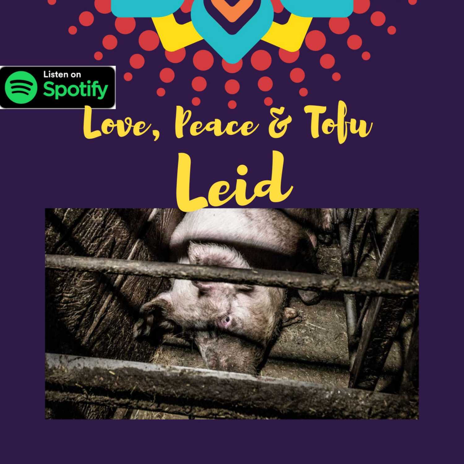 Love, Peace & Tofu von Daniela Noitz