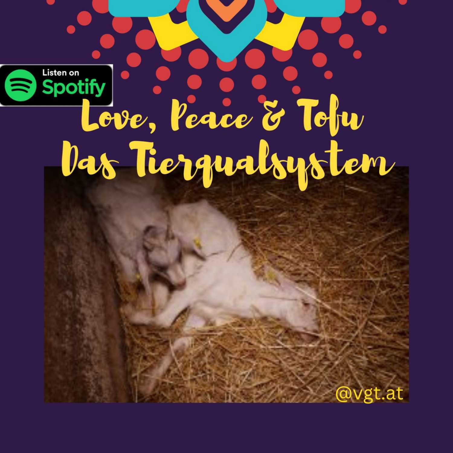 Love, Peace & Tofu von Daniela Noitz