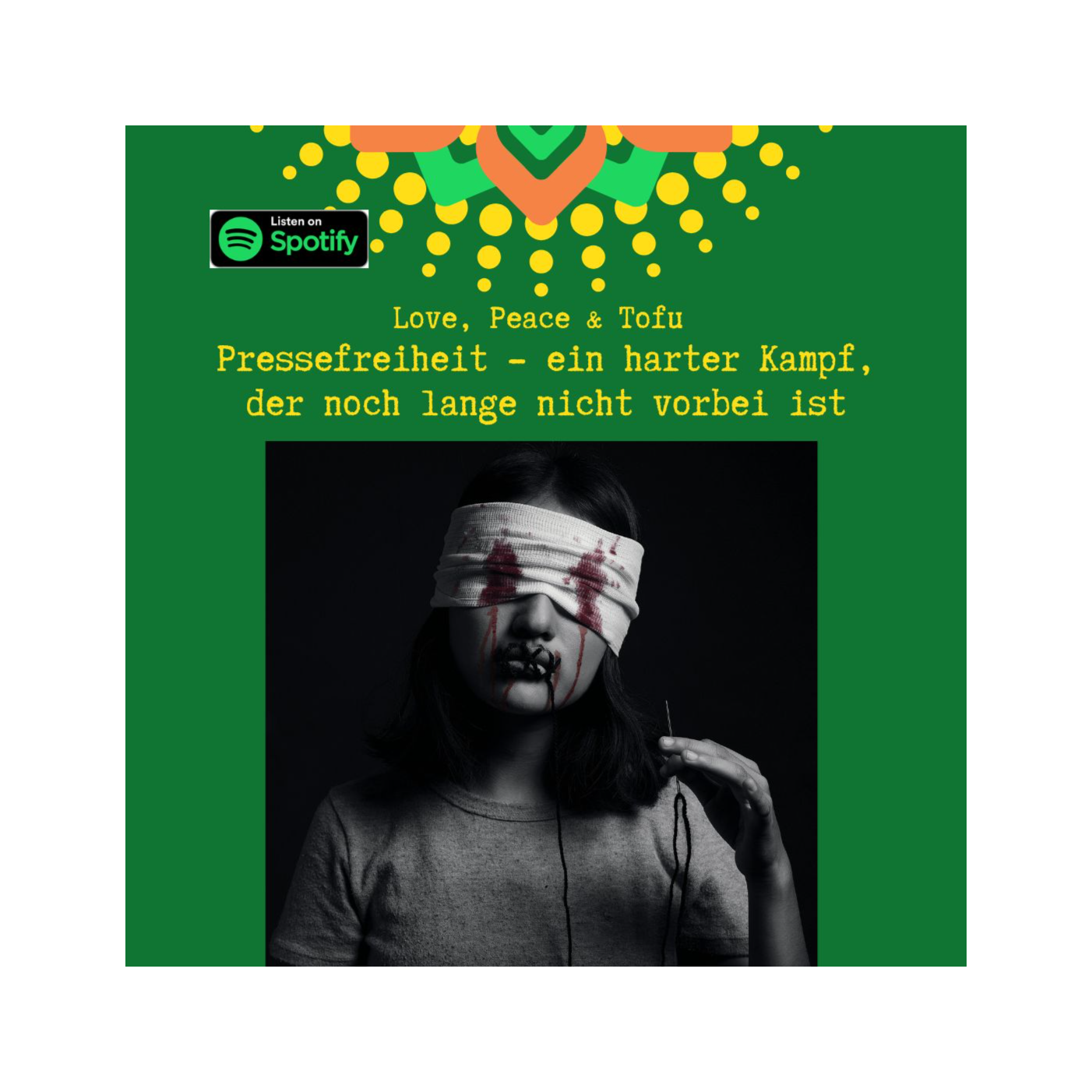 Pressefreiheit - ein harter Kampf, der noch lange nicht vorbei ist episode artwork