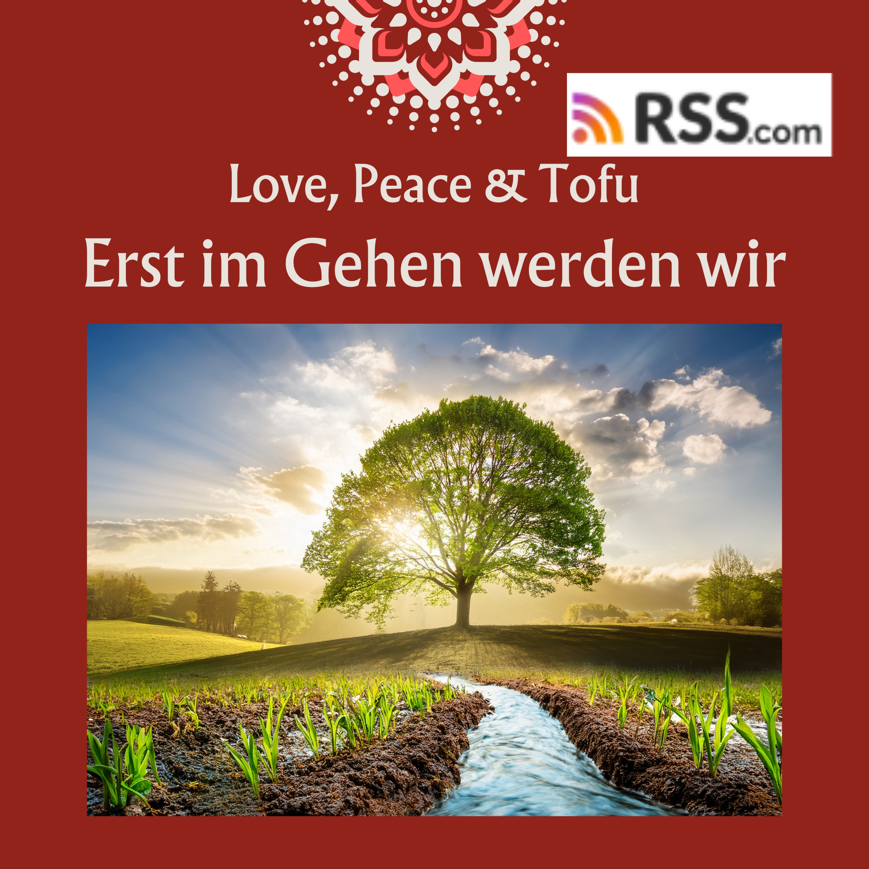 Erst im Gehen werden wir episode artwork