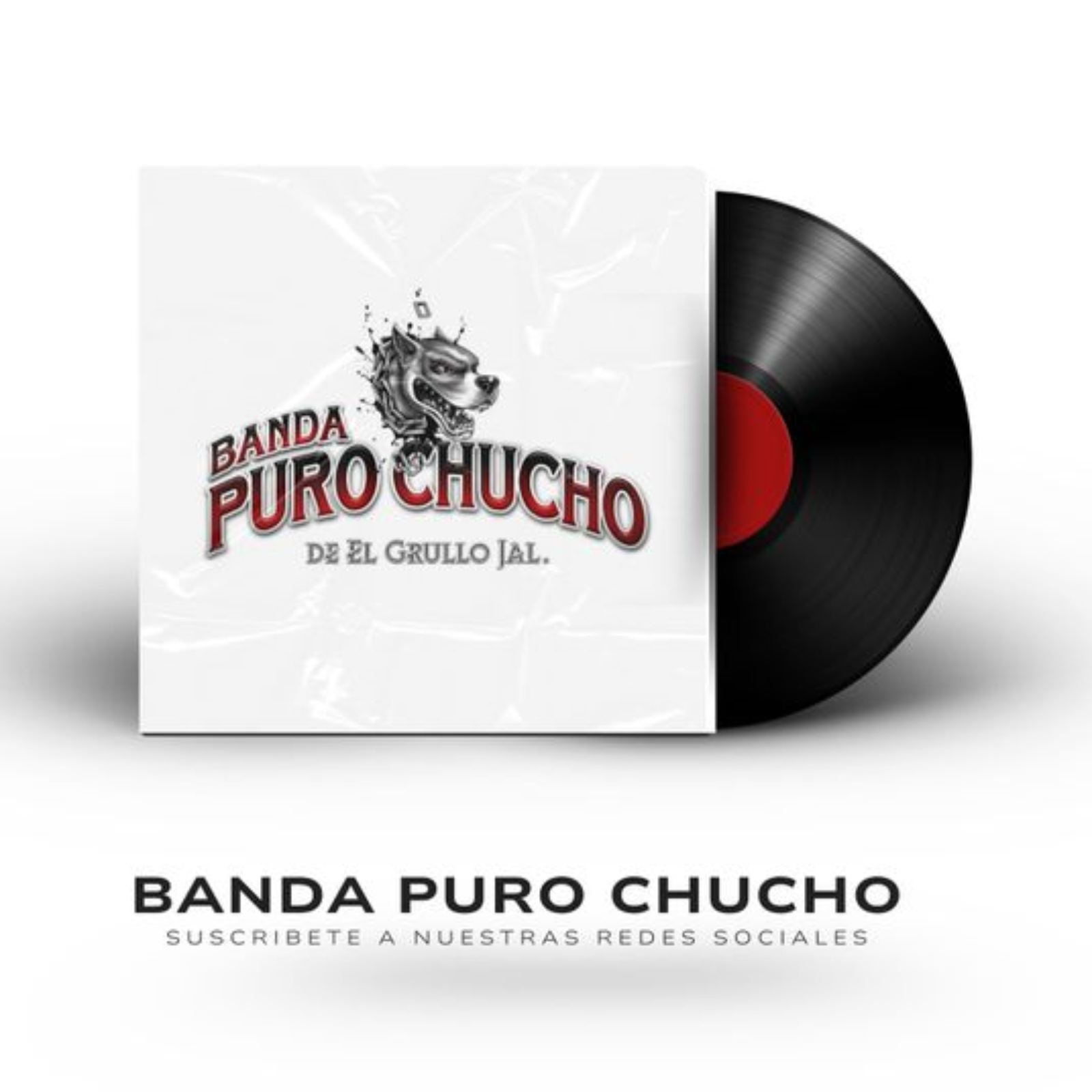Banda Puro Chucho