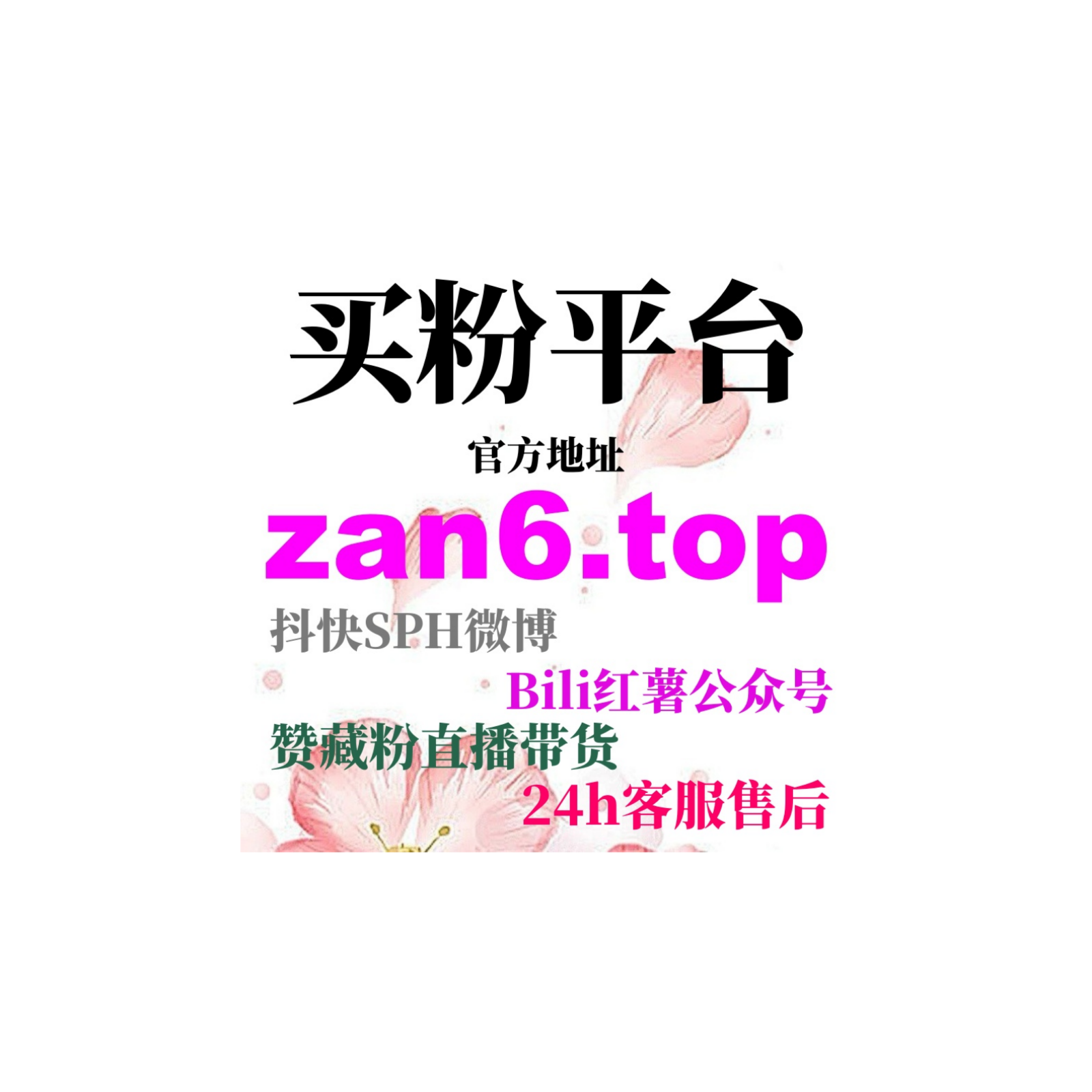 如何通过B站广告和B站低价刷赞提升粉丝数，增加视频的推荐量？ episode artwork