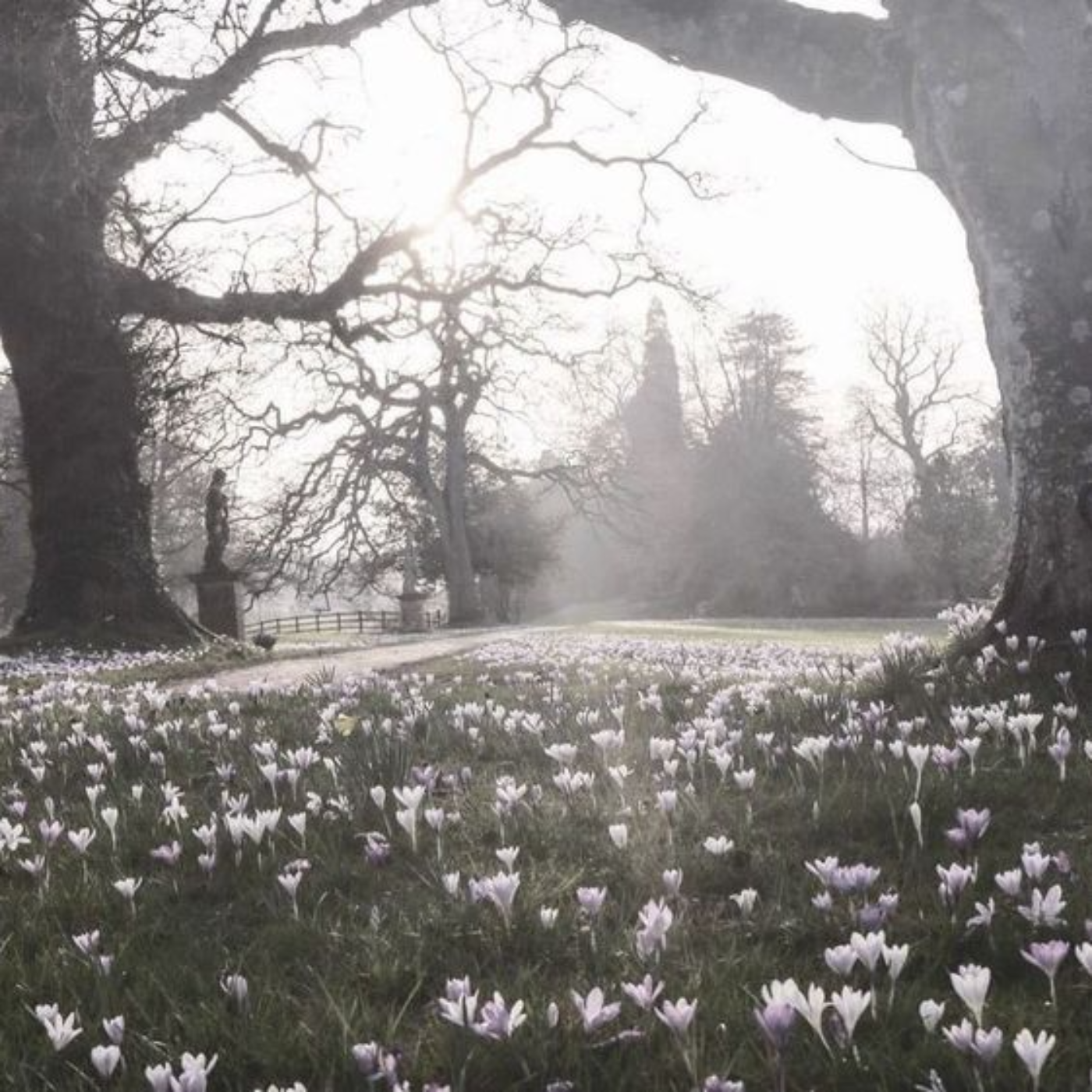 Songs' Instrumental / Piano