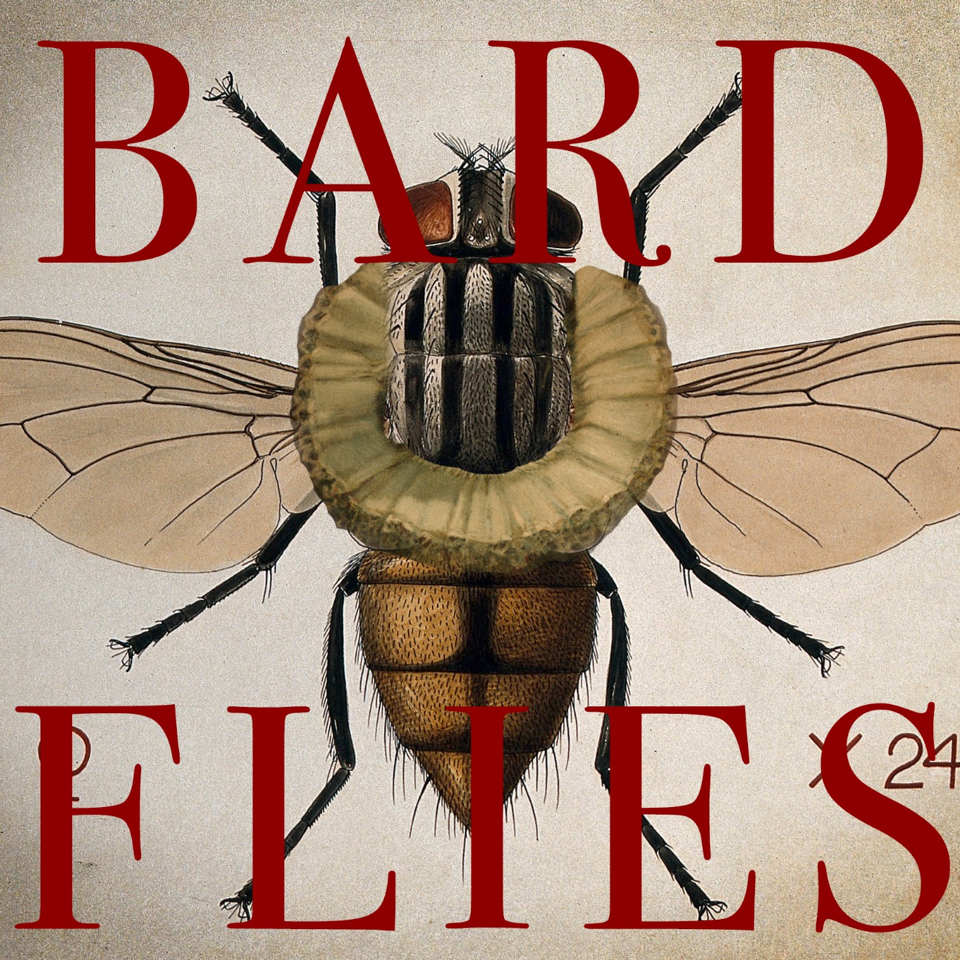 Bard Flies