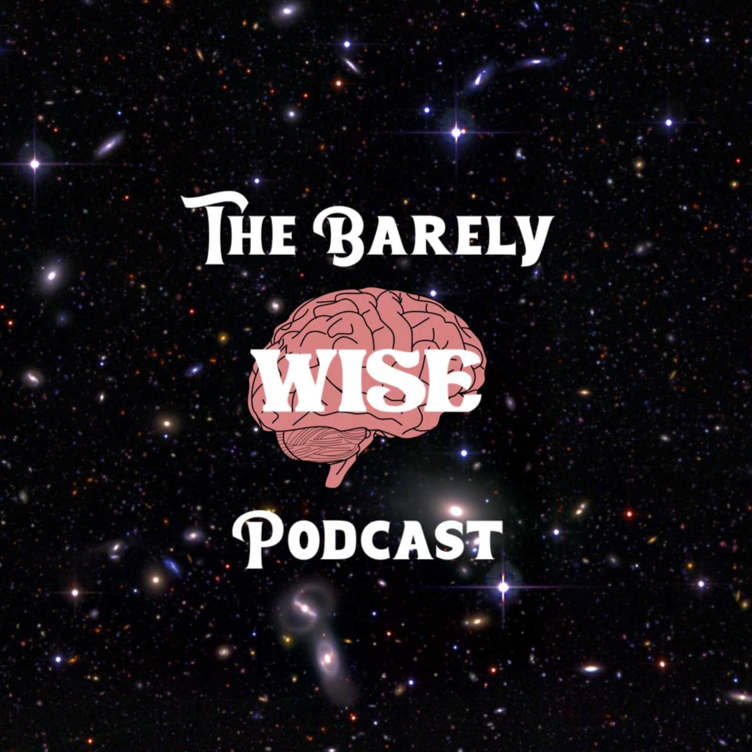 The Barely Wise Podcast