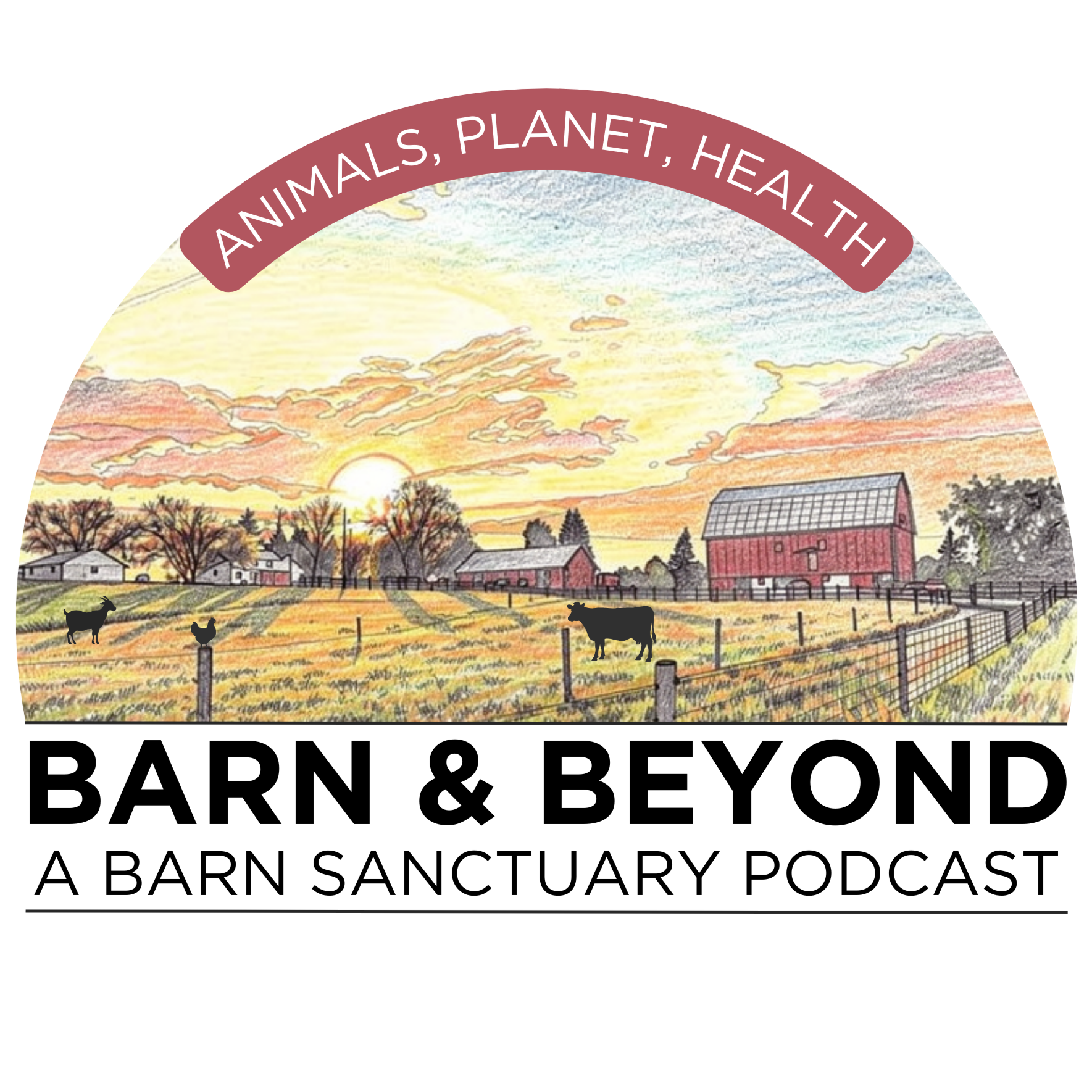 Barn & Beyond - A Barn Sanctuary Podcast podcast artwork