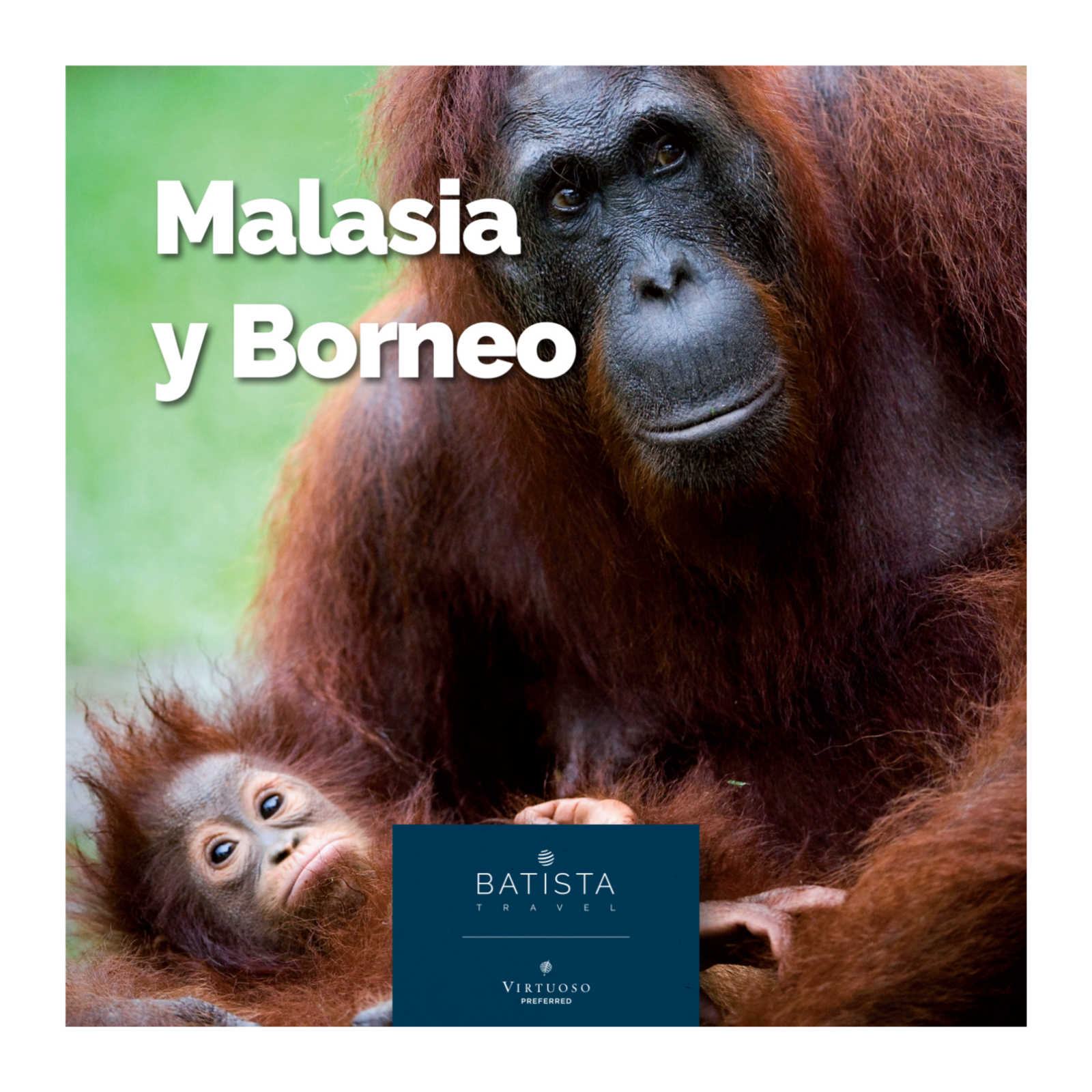 Malasia y Borneo episode artwork