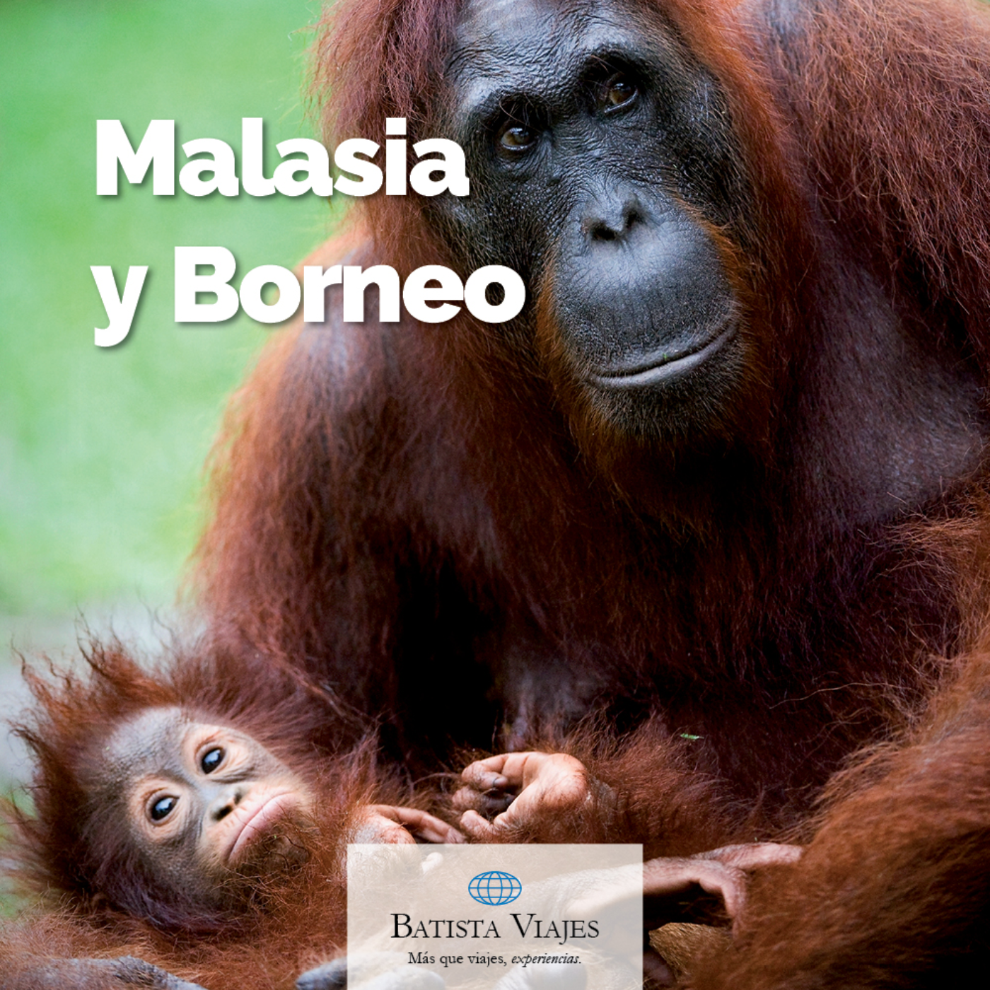 Nuestros Grandes Viajes - Batista Viajes