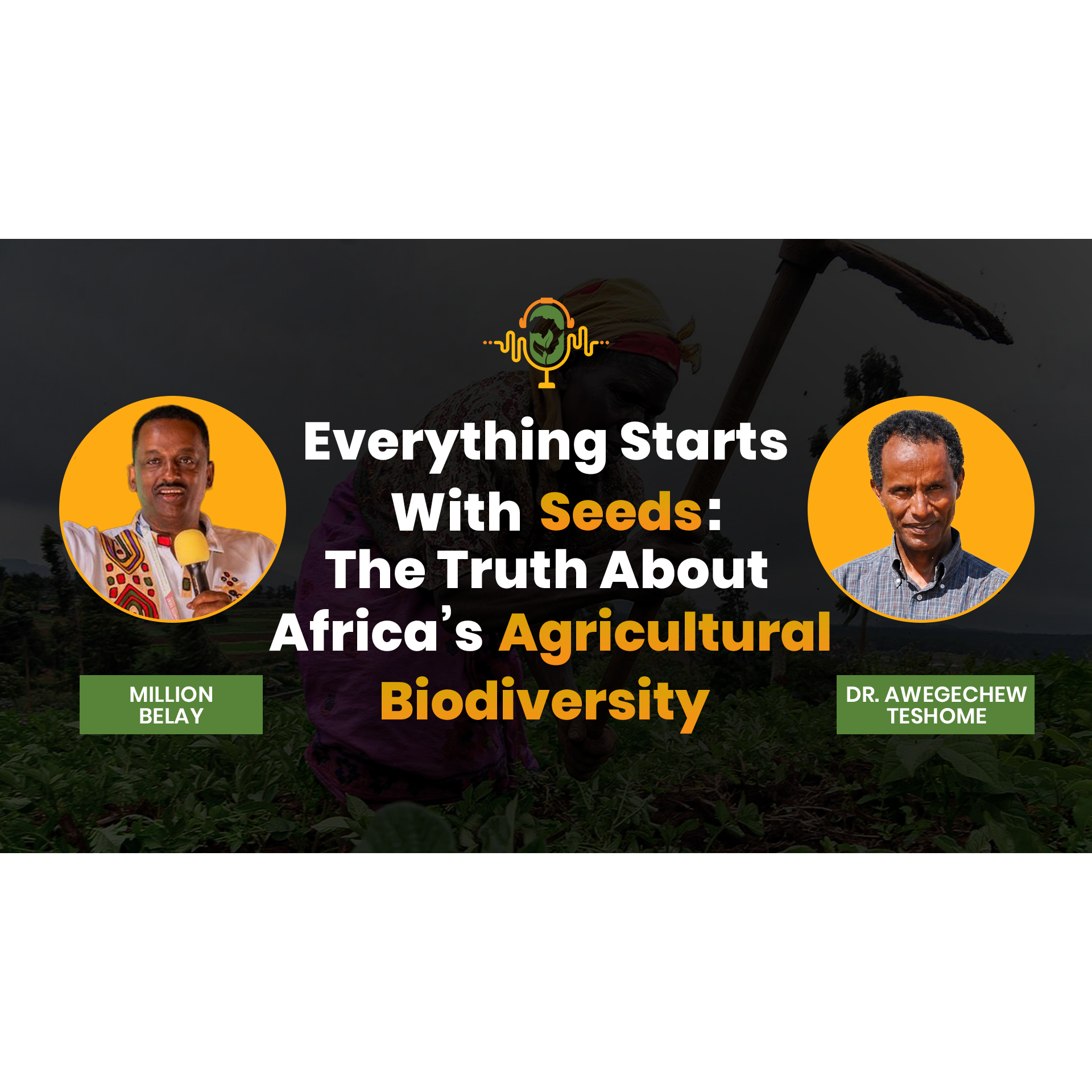 Everything Starts with Seeds: The Truth About Africa's Agricultural Biodiversity | Dr. Awegechew Teshome episode artwork