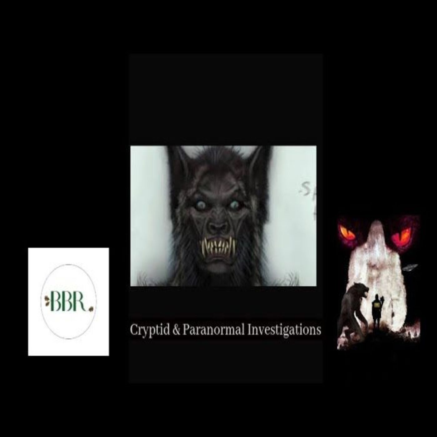 Deborah Hatswell. BBR Investigations. Cryptid Creatures, Mystery and Unexplained Events