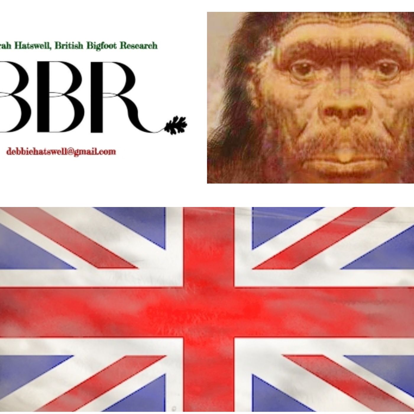 Deborah Hatswell. BBR Investigations. Cryptid Creatures, Mystery and Unexplained Events