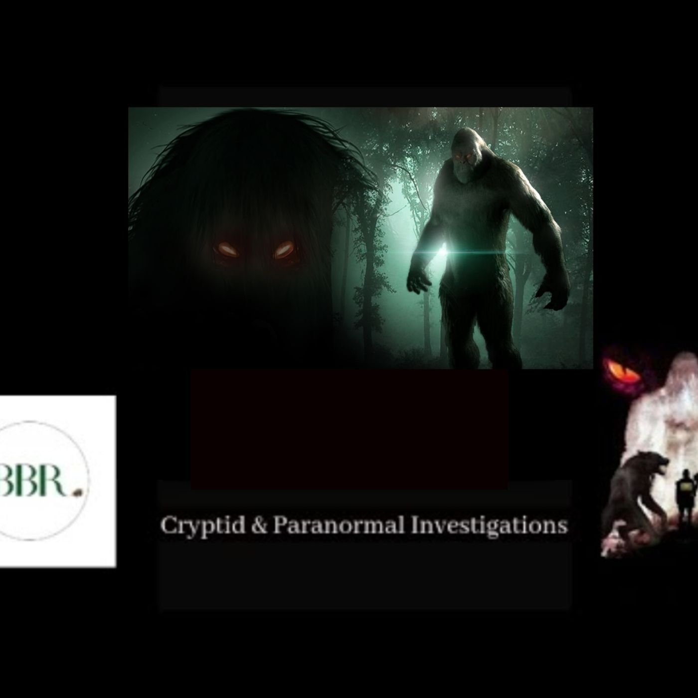 Deborah Hatswell. BBR Investigations. Cryptid Creatures, Mystery and Unexplained Events