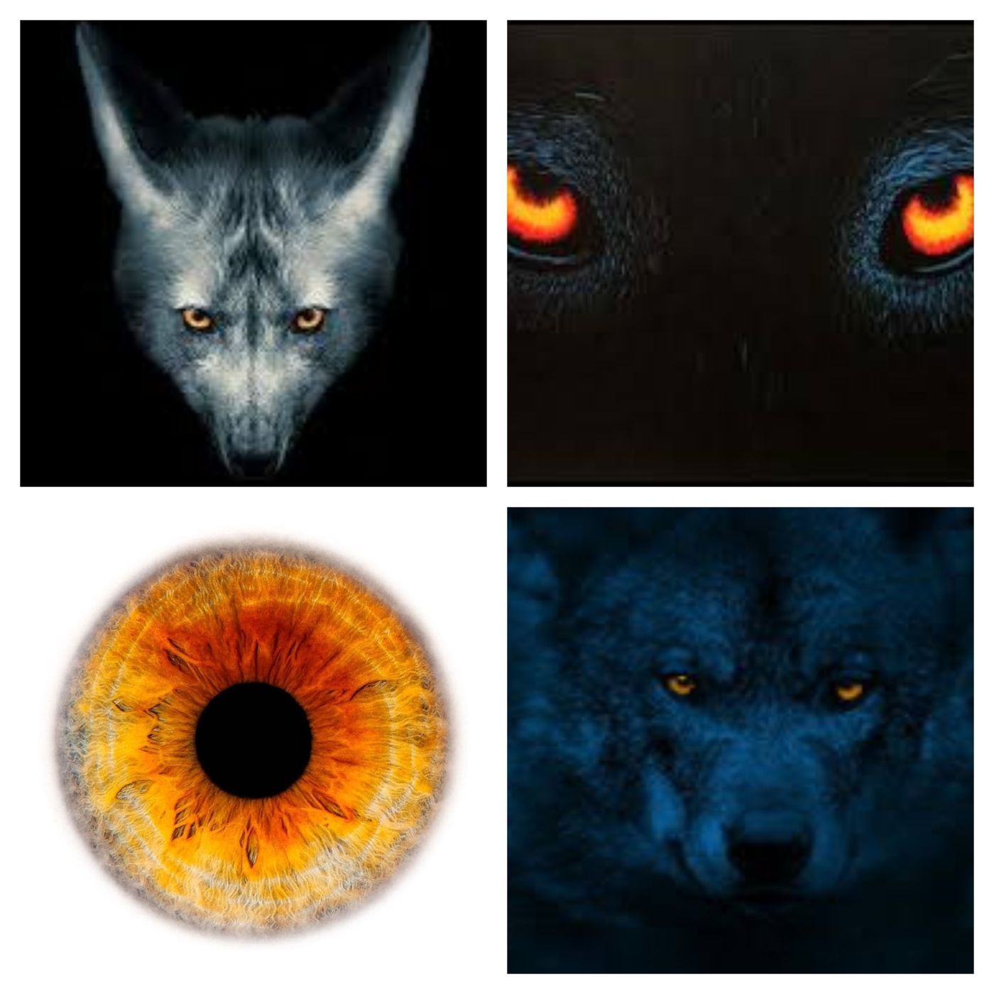 Deborah Hatswell. BBR Investigations. Cryptid Creatures, Mystery and Unexplained Events