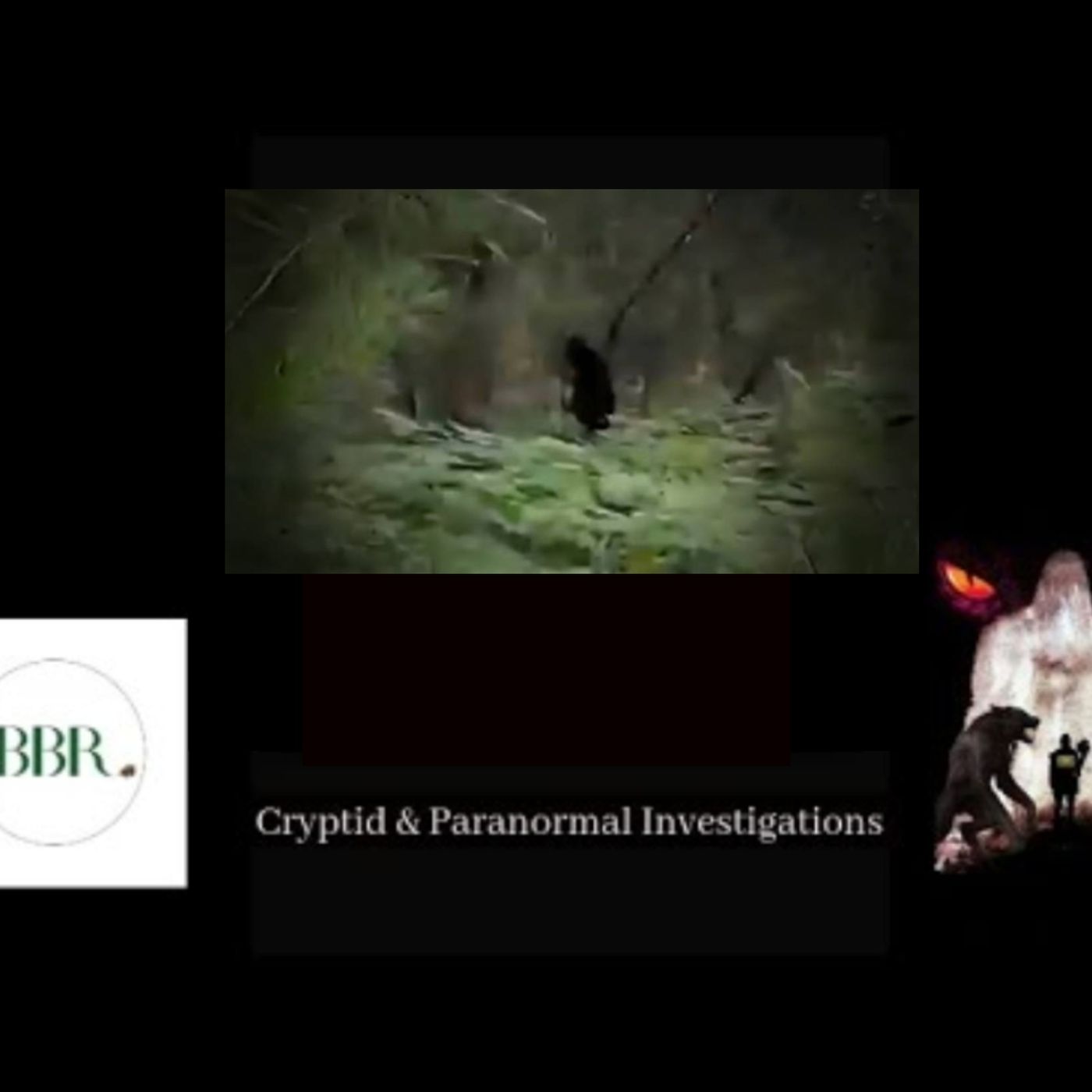 Deborah Hatswell. BBR Investigations. Cryptid Creatures, Mystery and Unexplained Events