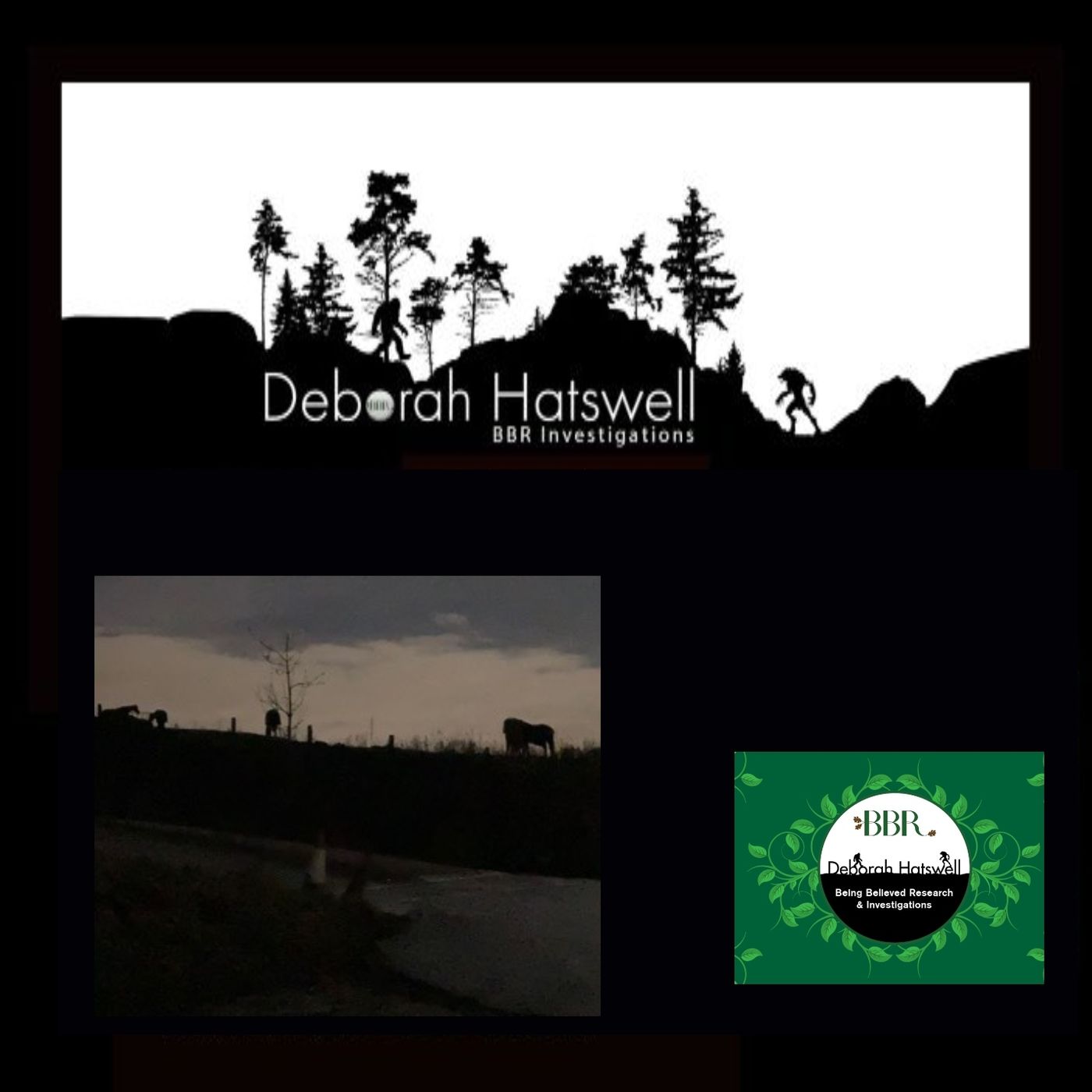 Deborah Hatswell. BBR Investigations. Cryptid Creatures, Mystery and Unexplained Events