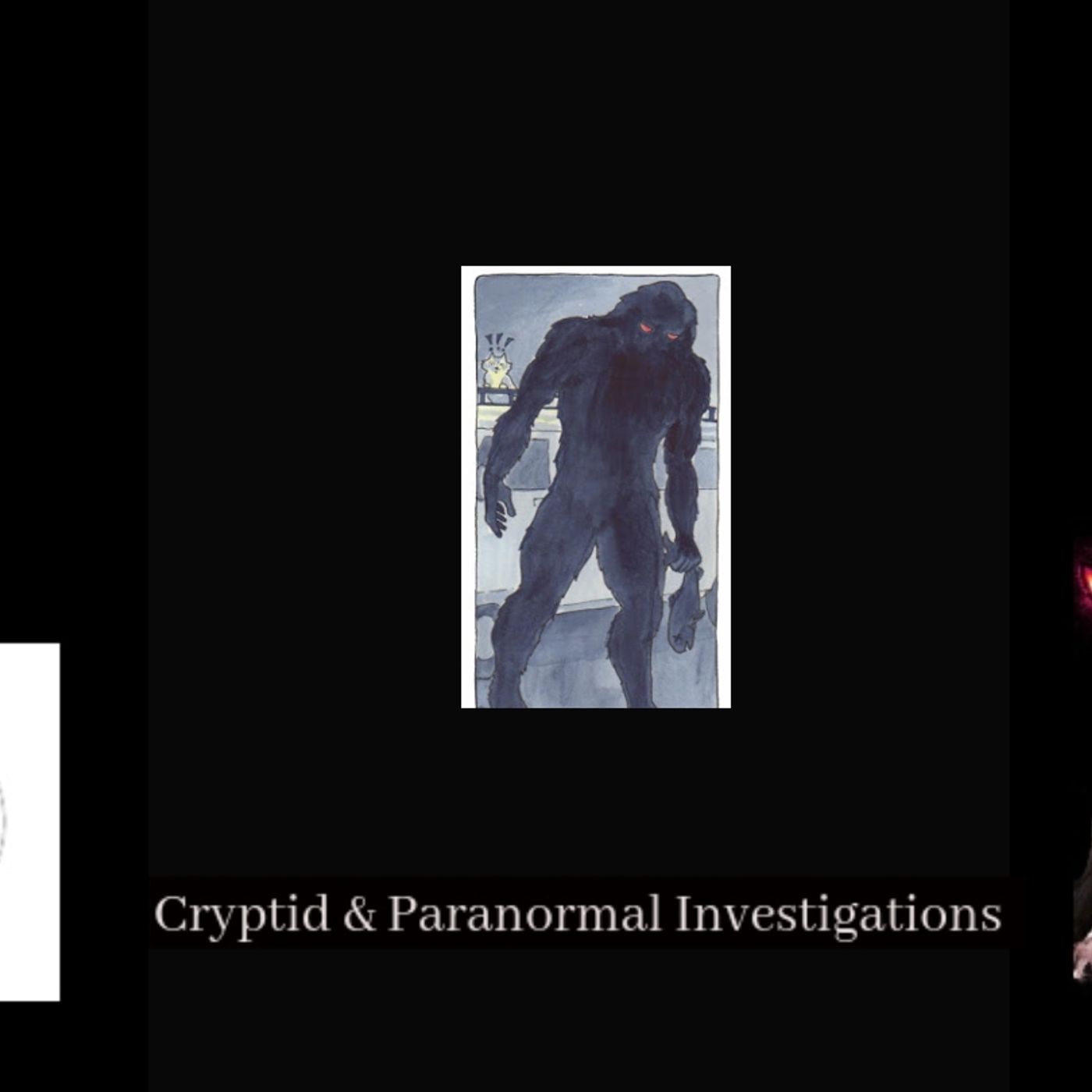 Deborah Hatswell. BBR Investigations. Cryptid Creatures, Mystery and Unexplained Events