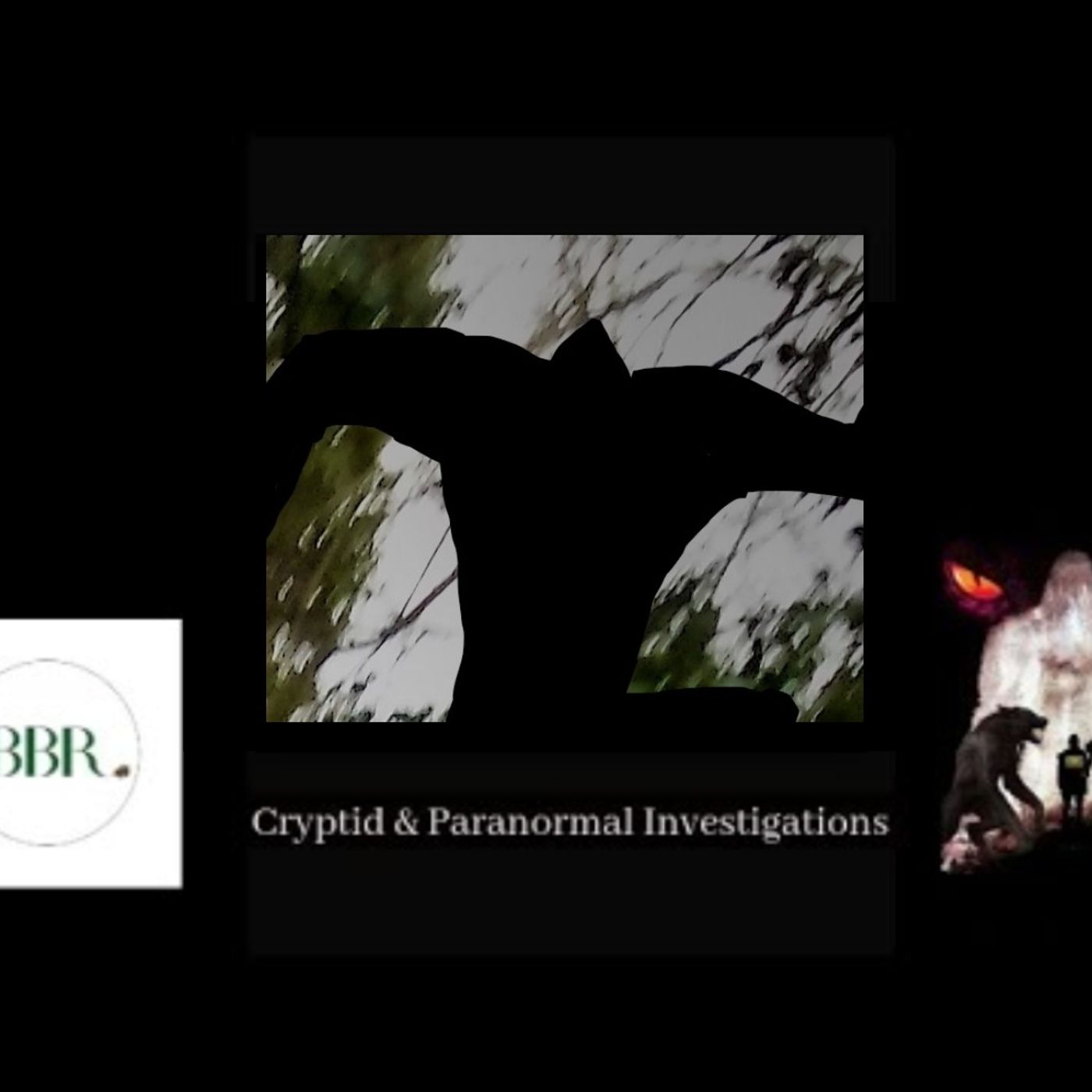 Deborah Hatswell. BBR Investigations. Cryptid Creatures, Mystery and Unexplained Events