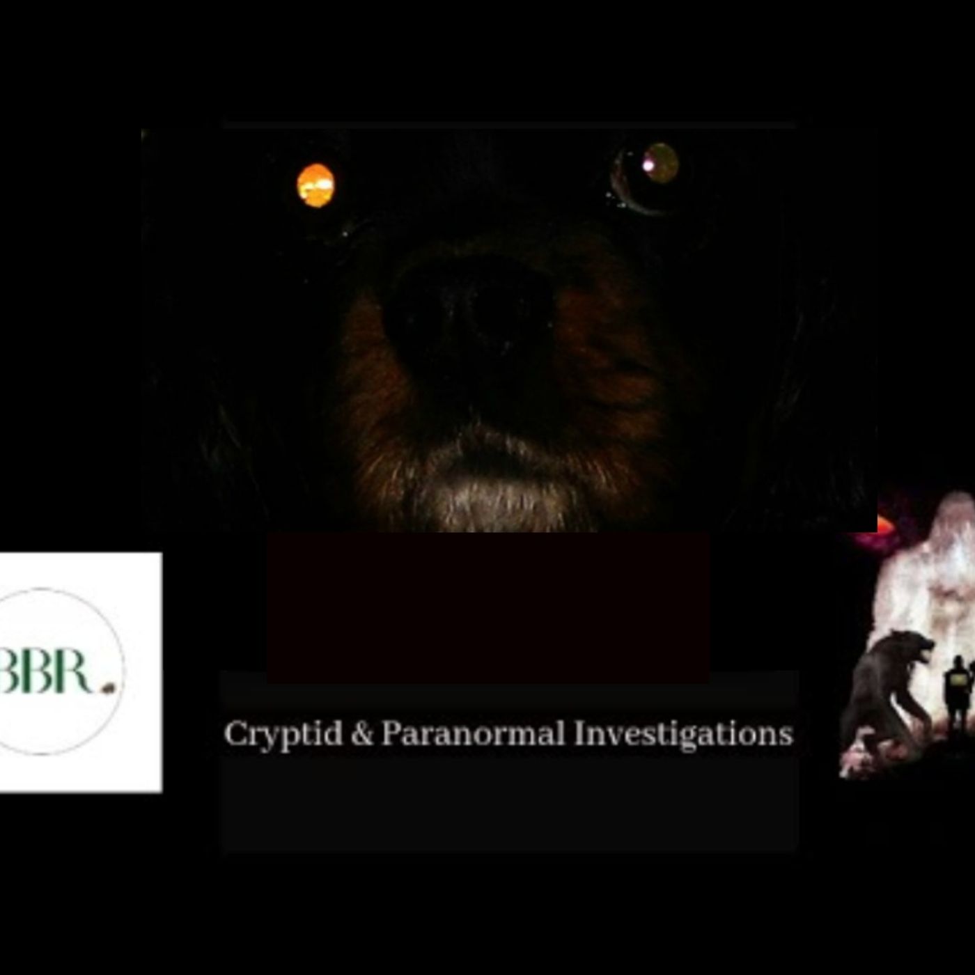 Deborah Hatswell. BBR Investigations. Cryptid Creatures, Mystery and Unexplained Events