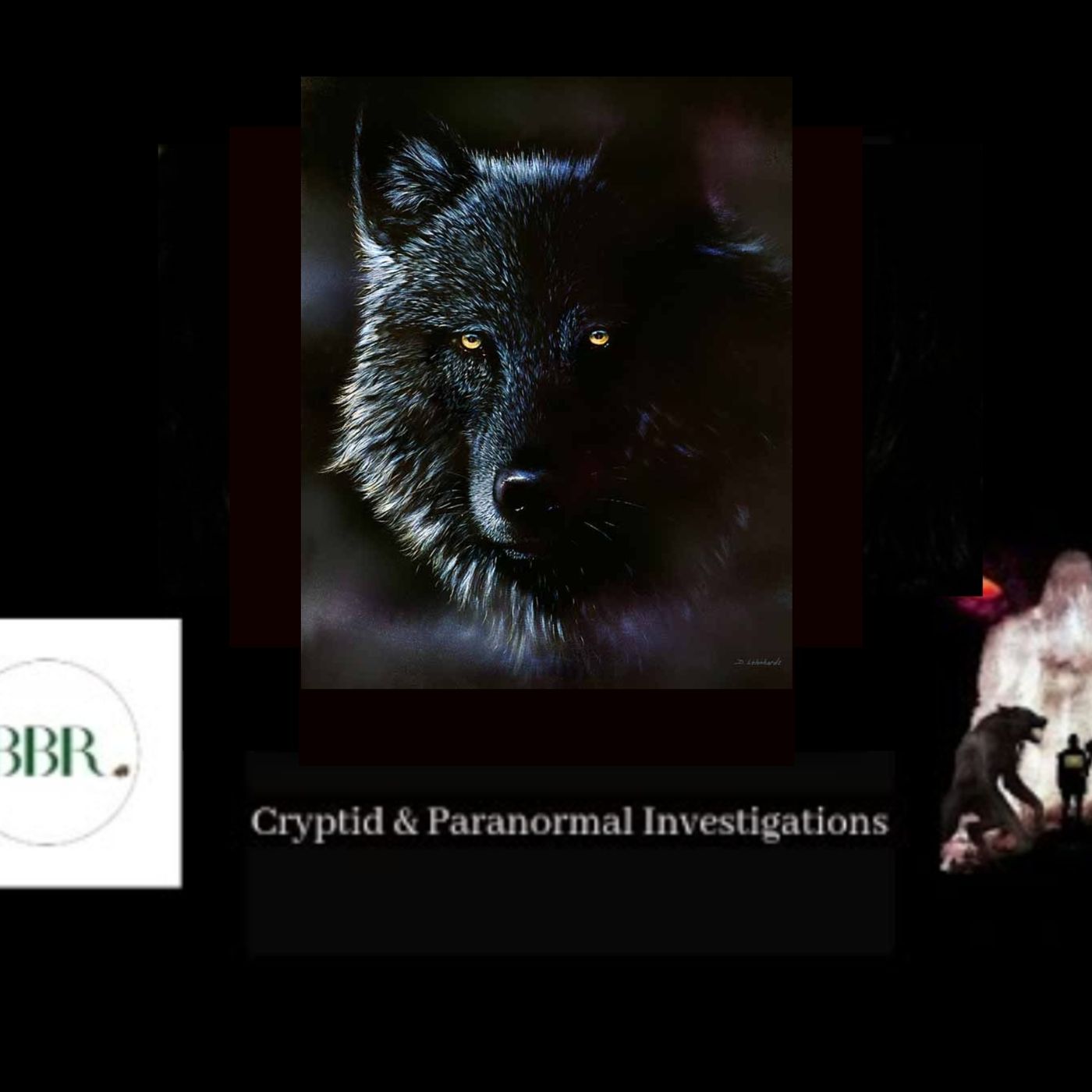 Deborah Hatswell. BBR Investigations. Cryptid Creatures, Mystery and Unexplained Events