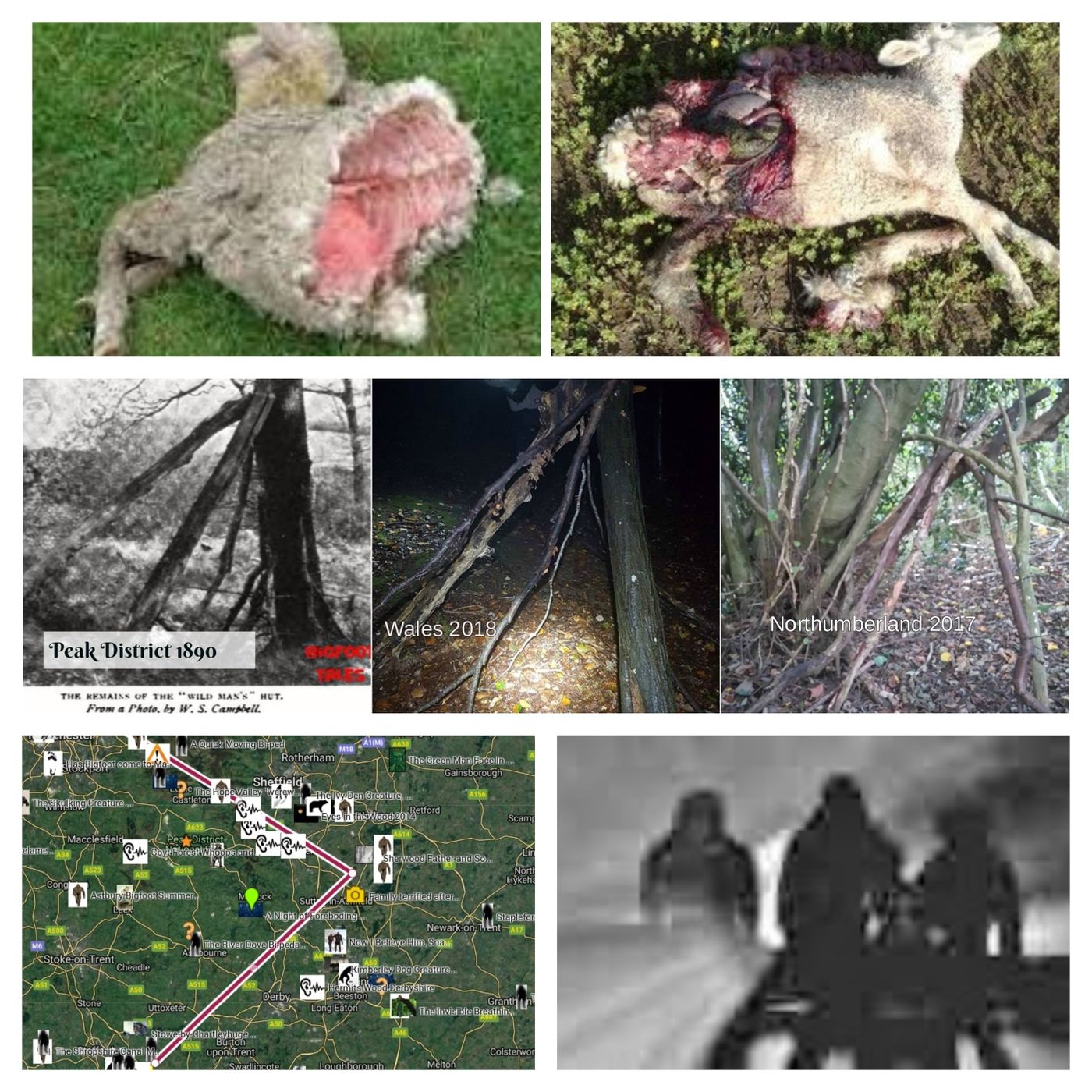 Deborah Hatswell. BBR Investigations. Cryptid Creatures, Mystery and Unexplained Events