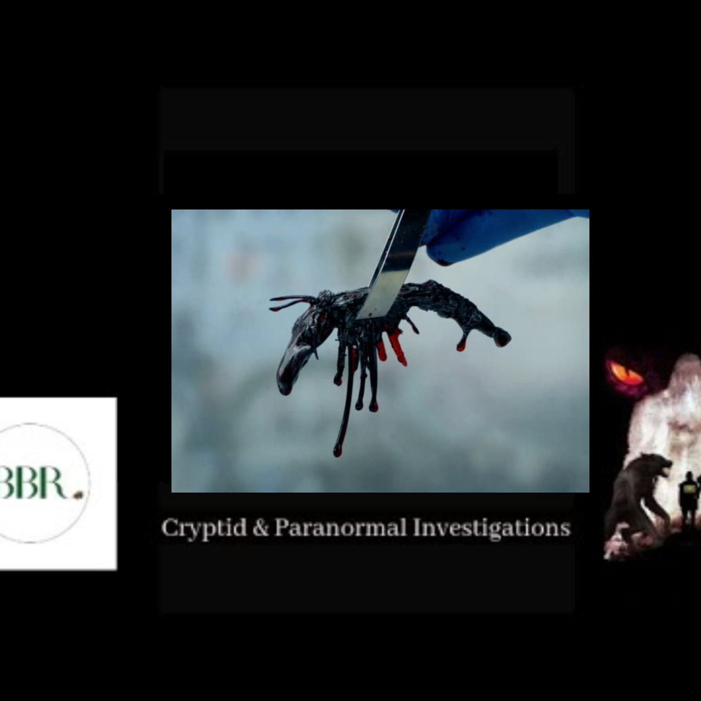 Deborah Hatswell. BBR Investigations. Cryptid Creatures, Mystery and Unexplained Events