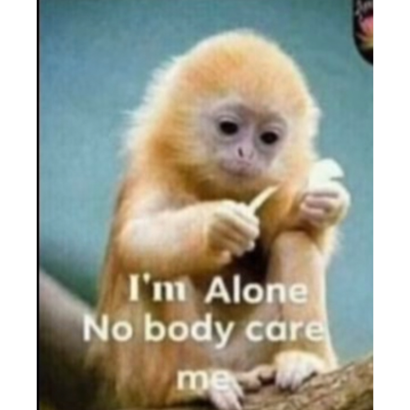 Bea’s songs for spotify