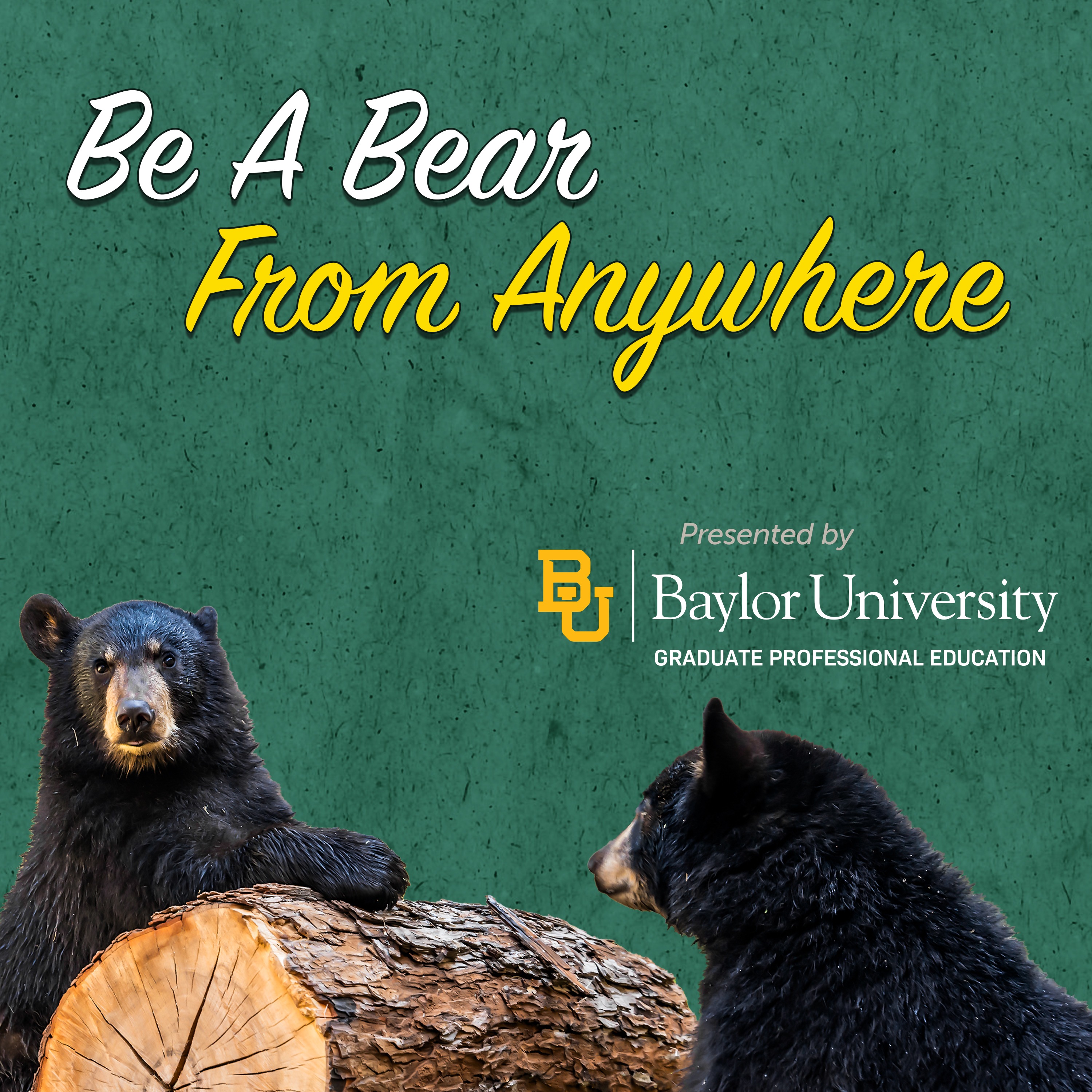 Be A Bear From Anywhere