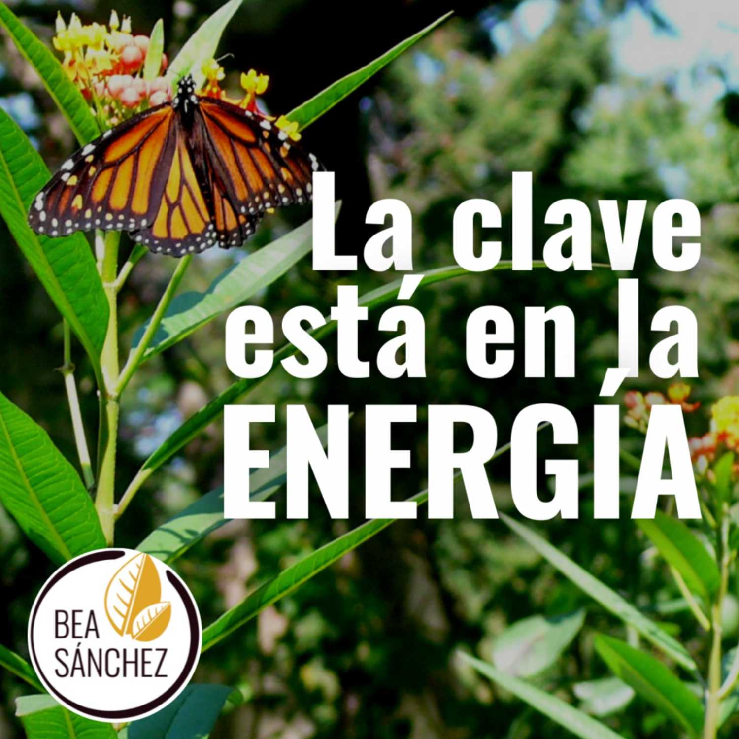 LA CLAVE ESTA EN LA ENERGIA - Salud Integral