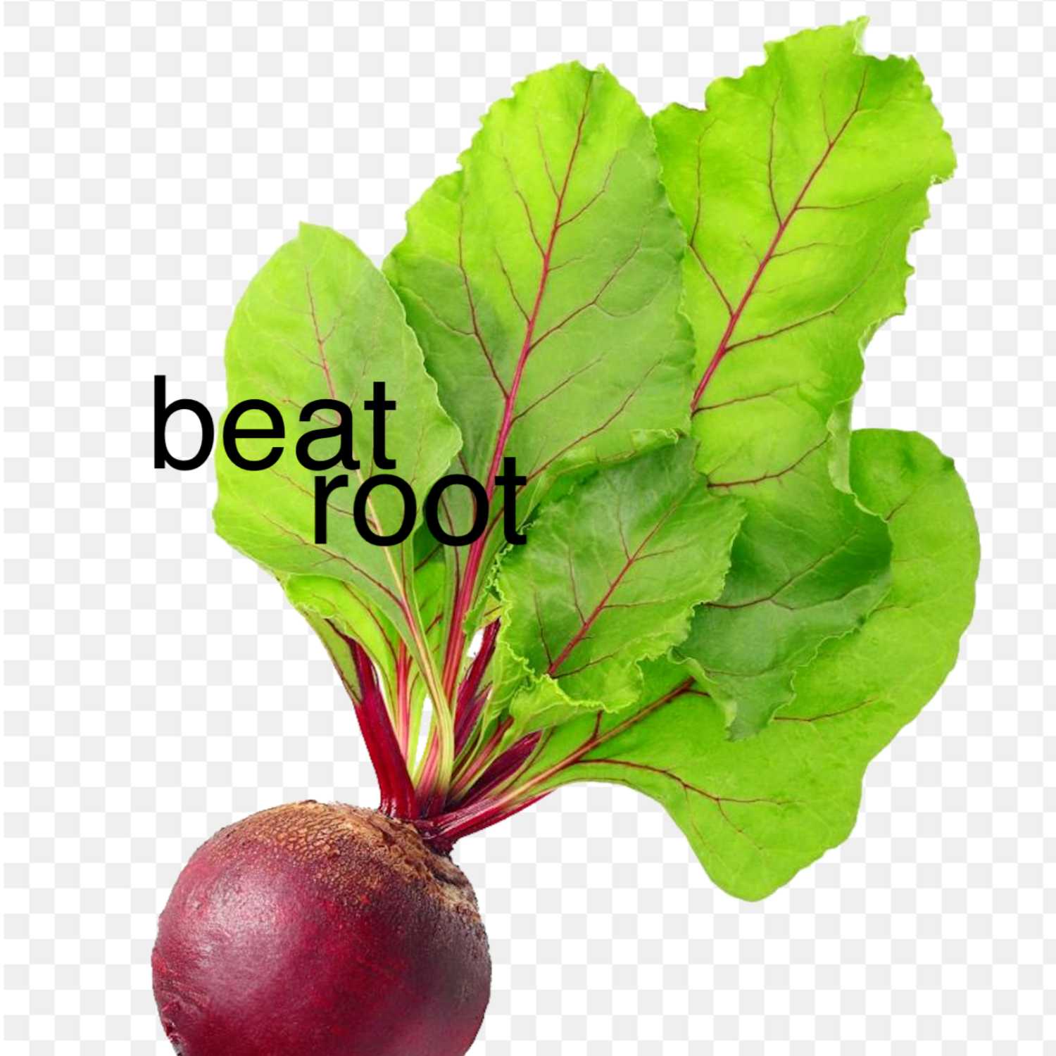 beat root soup