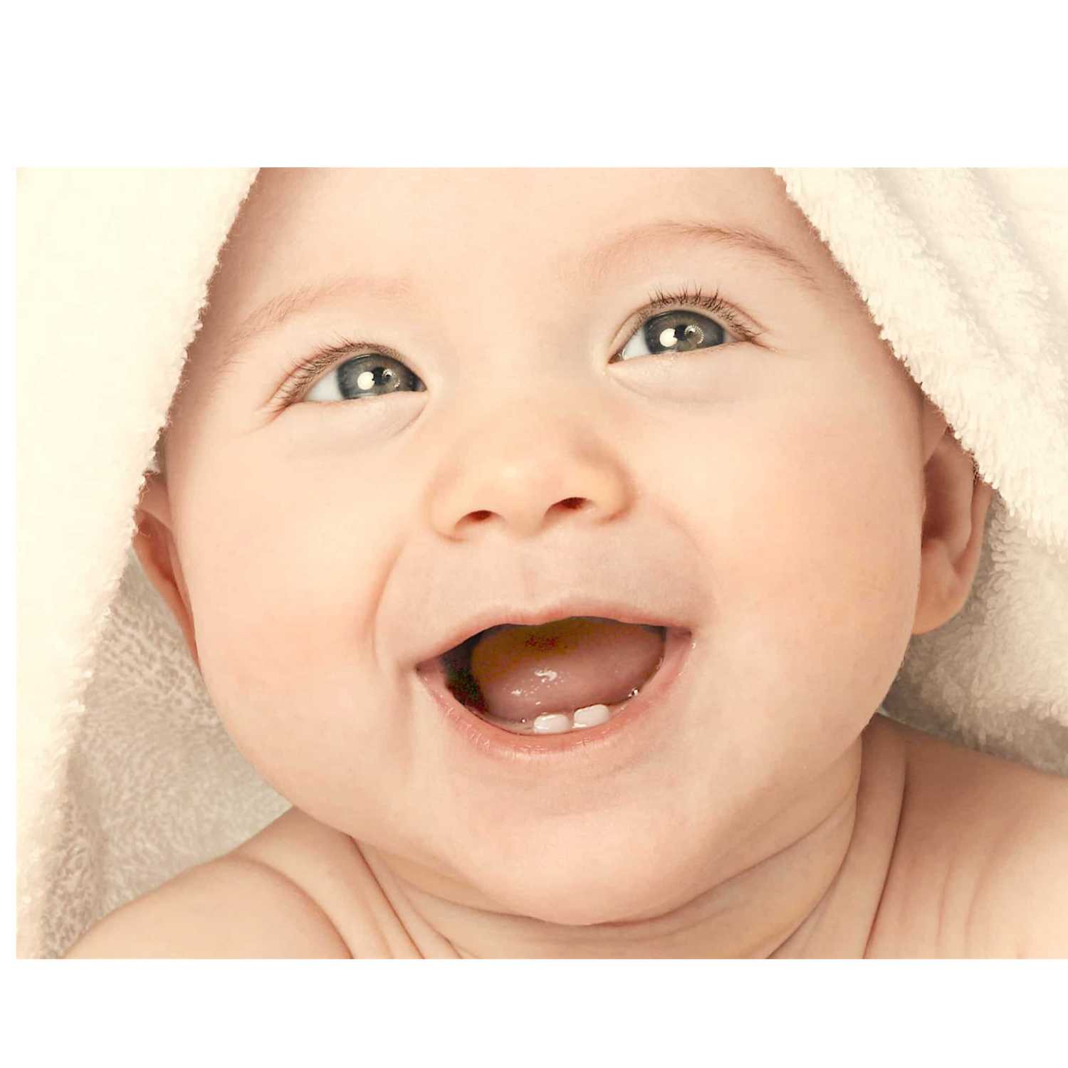 3 cerditos P7 607 bebetones