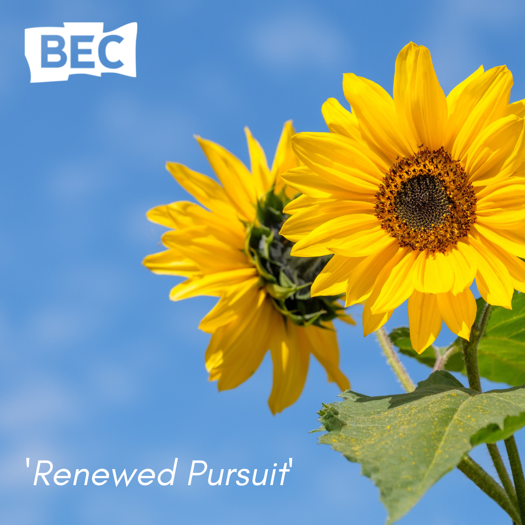 Renewed Pursuit