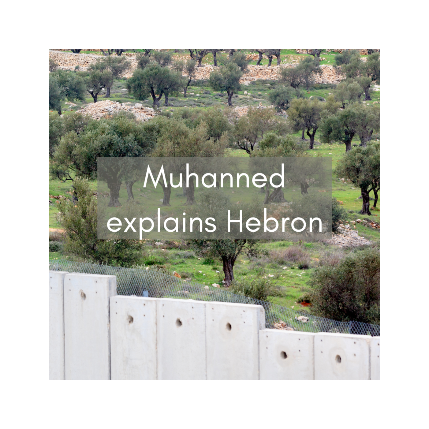 A conversation with Palestinian activist Muhanned Qafesha episode artwork