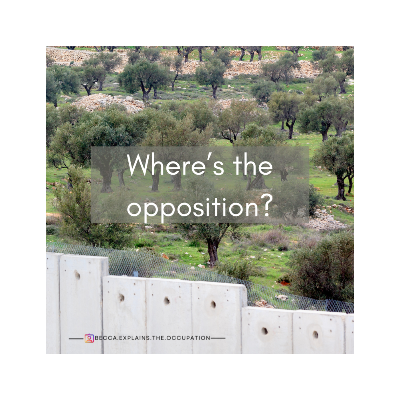 Where's the Opposition? Israeli politics in relation to Occupation and Palestinians episode artwork
