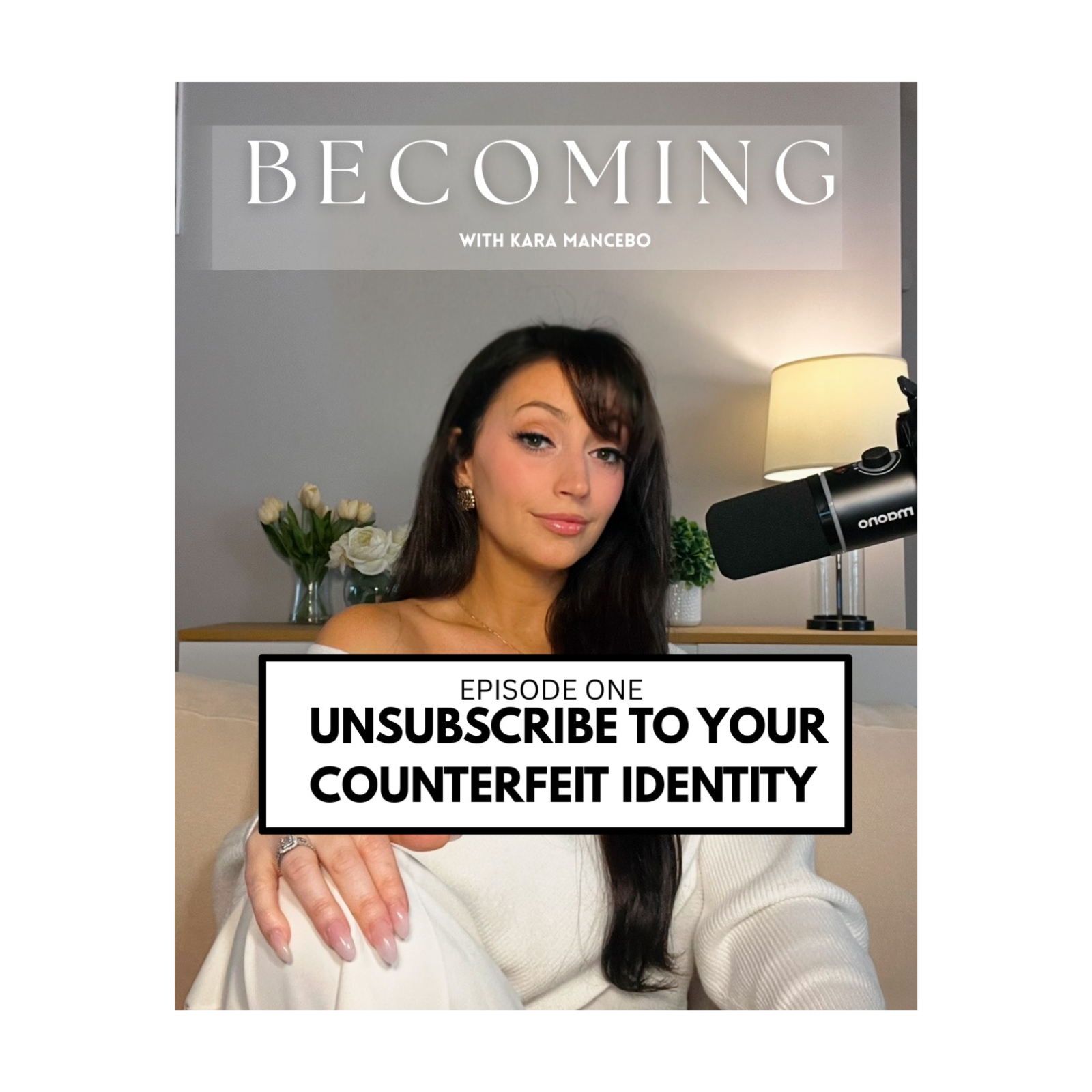 Unsubscribing to the Counterfeit of Your Identity episode artwork