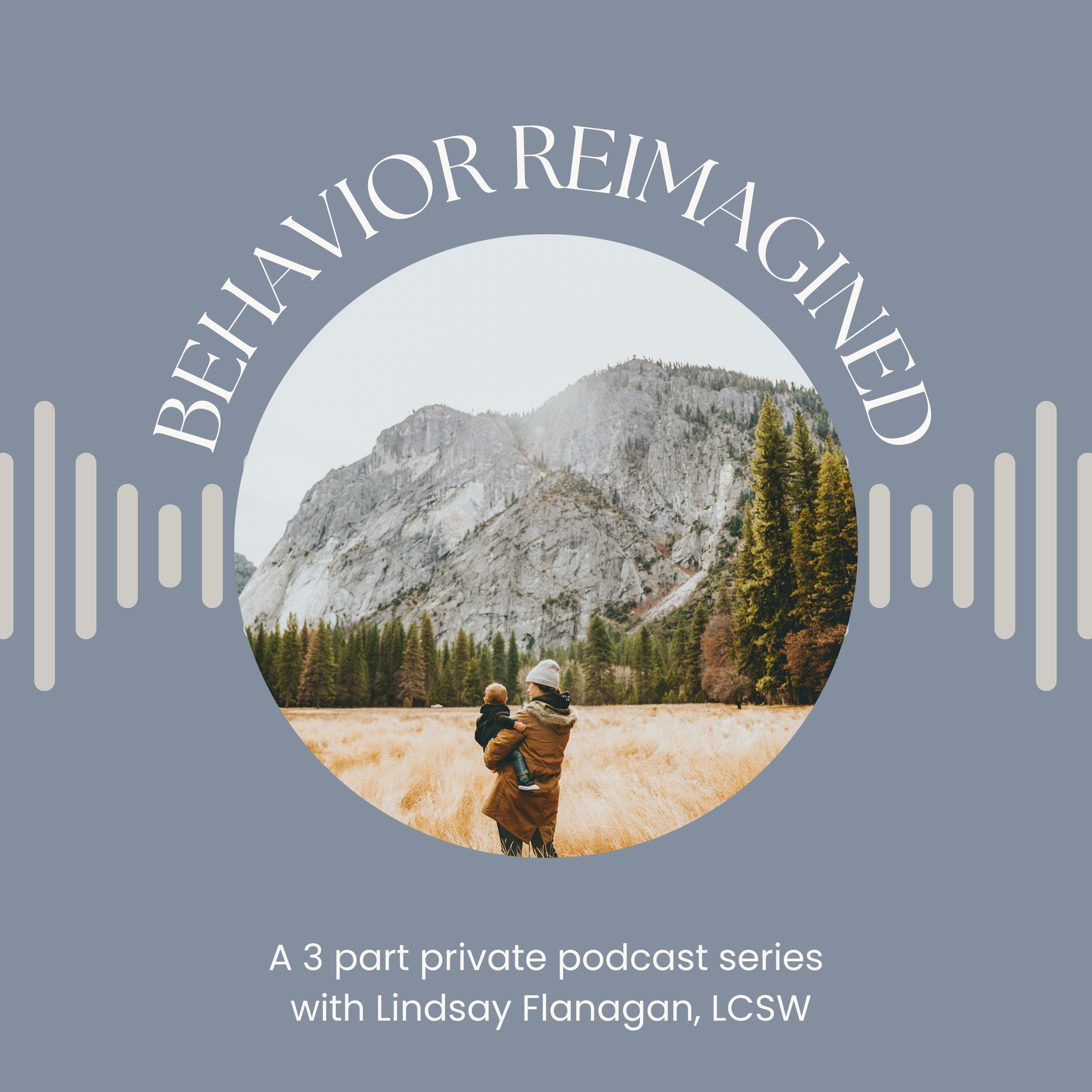 Behavior Reimagined cover art