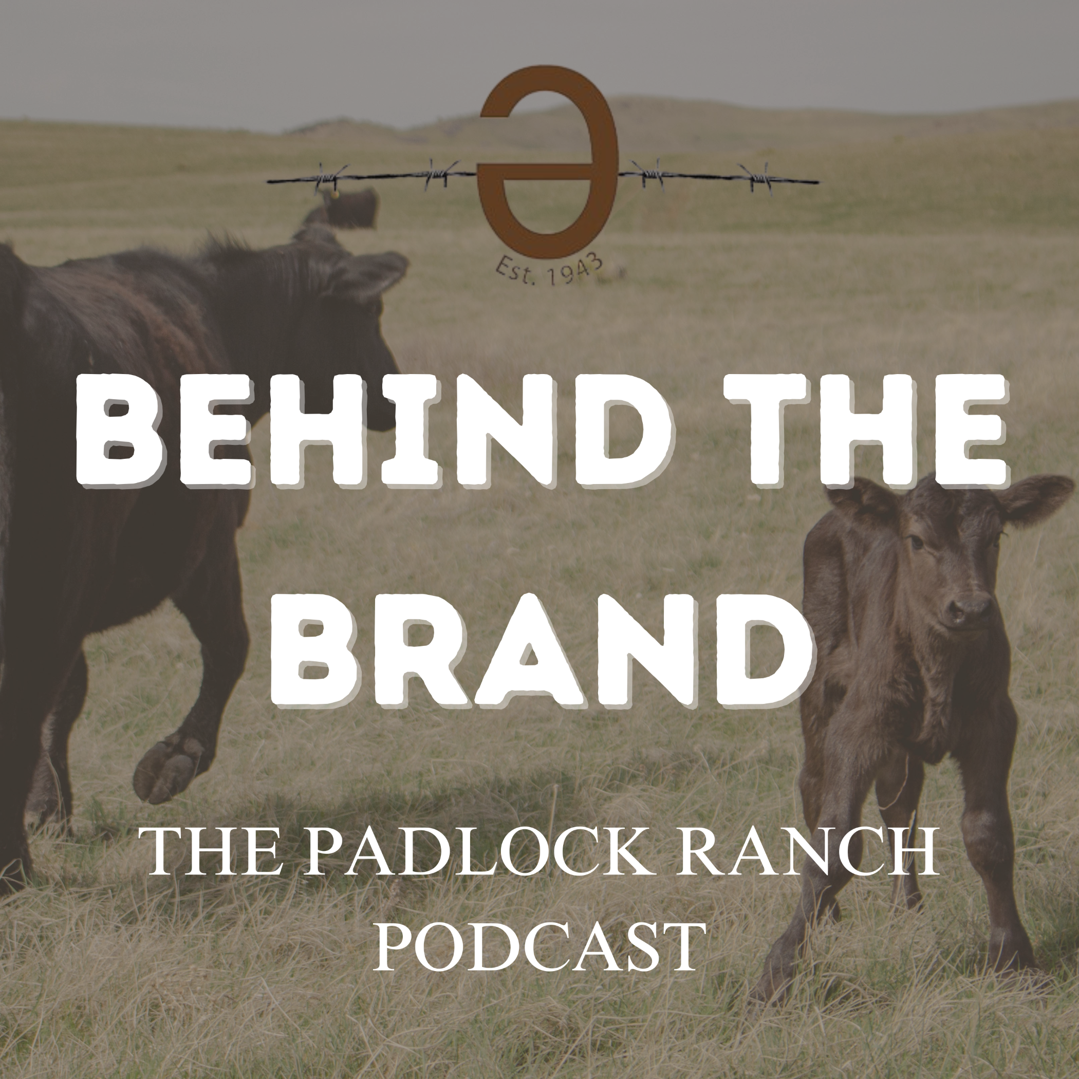 Behind the Brand | Padlock Ranch Updates
