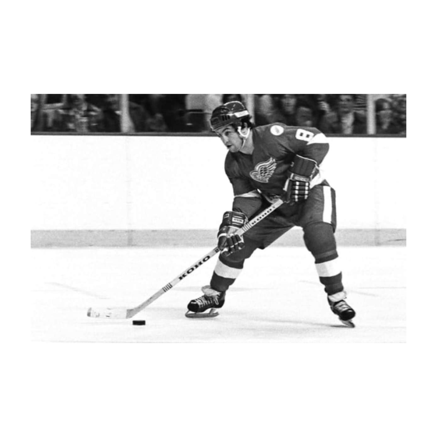 Dennis Polonich joins the HWO Redwings NHL