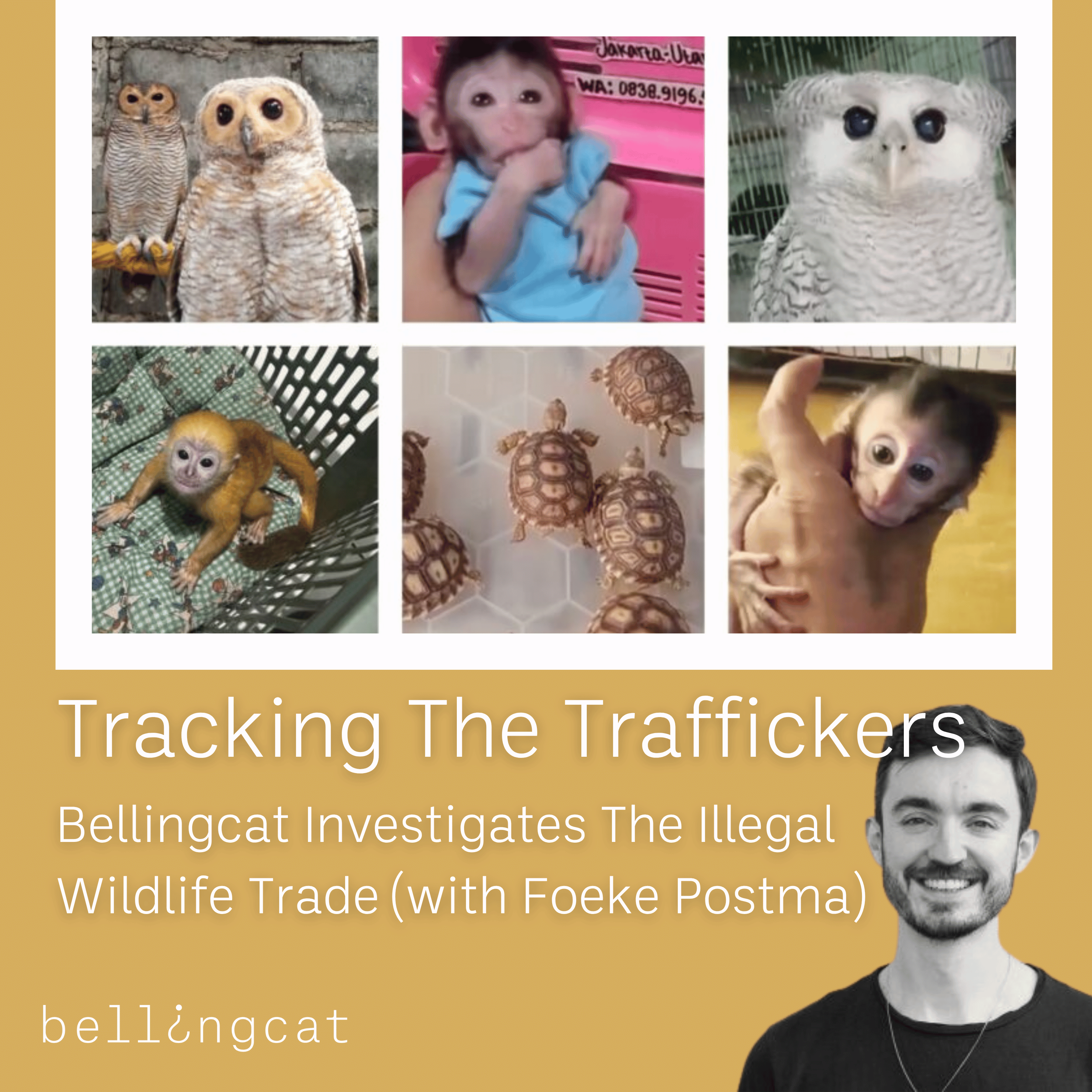 "Tracking The Traffickers" with Foeke Postma