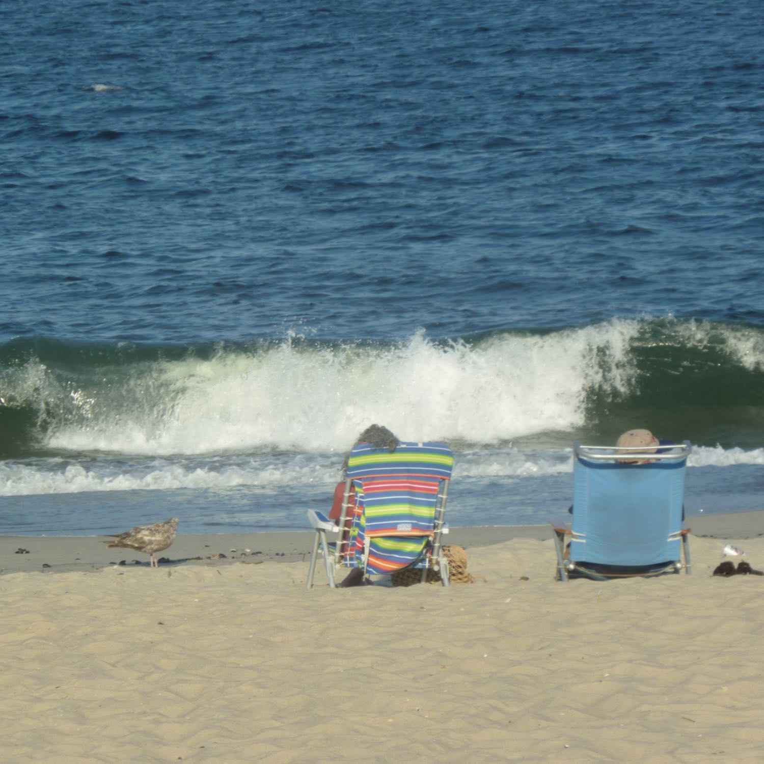 A Walking Tour of Belmar, NJ