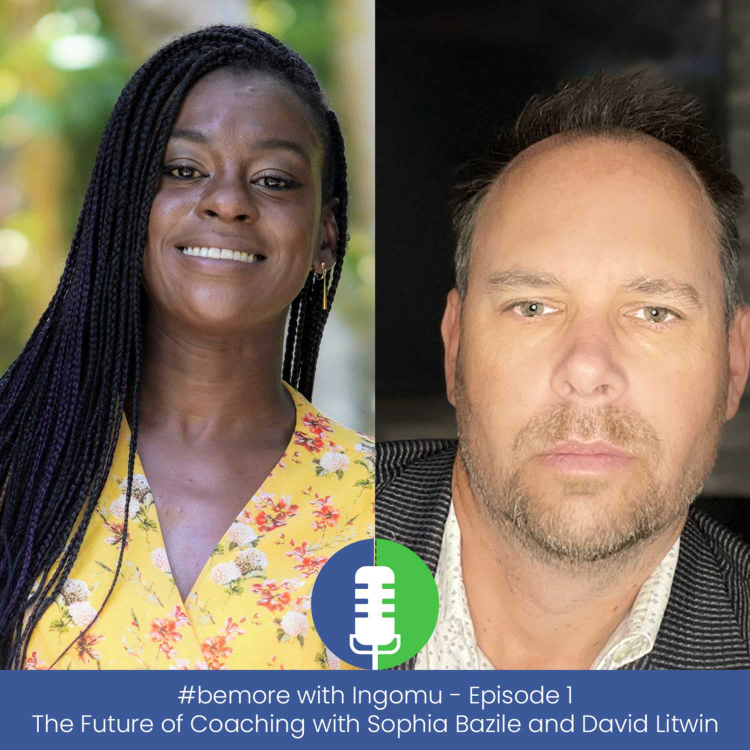 Ask a Coach with Ingomu. Personal Coaching for Everyone
