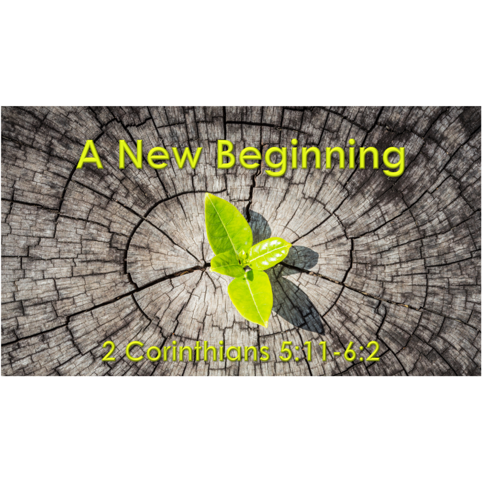 A New Beginning (2 Corinthians 5:11-6:2) episode artwork