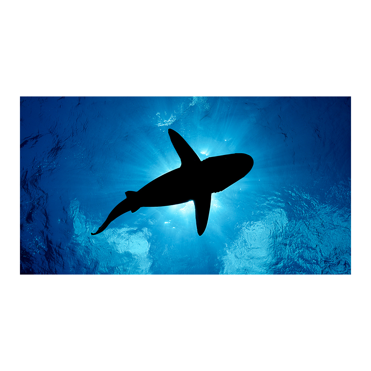 Beneath the Surface