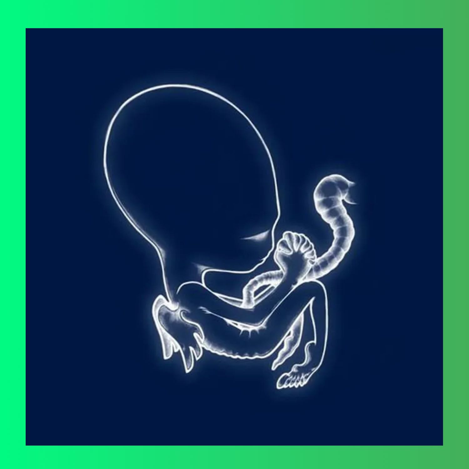 Babblin\' Bangers