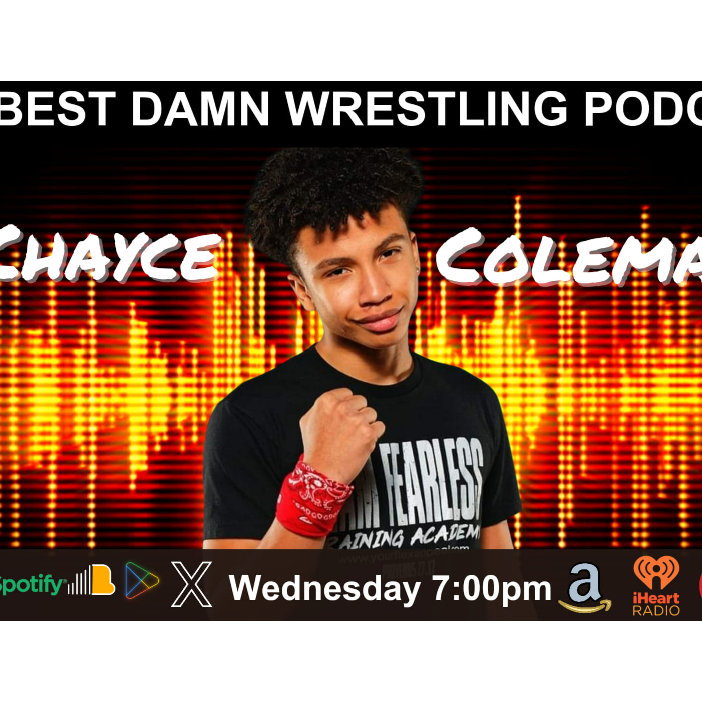 The Best Damn Wrestling Podcast