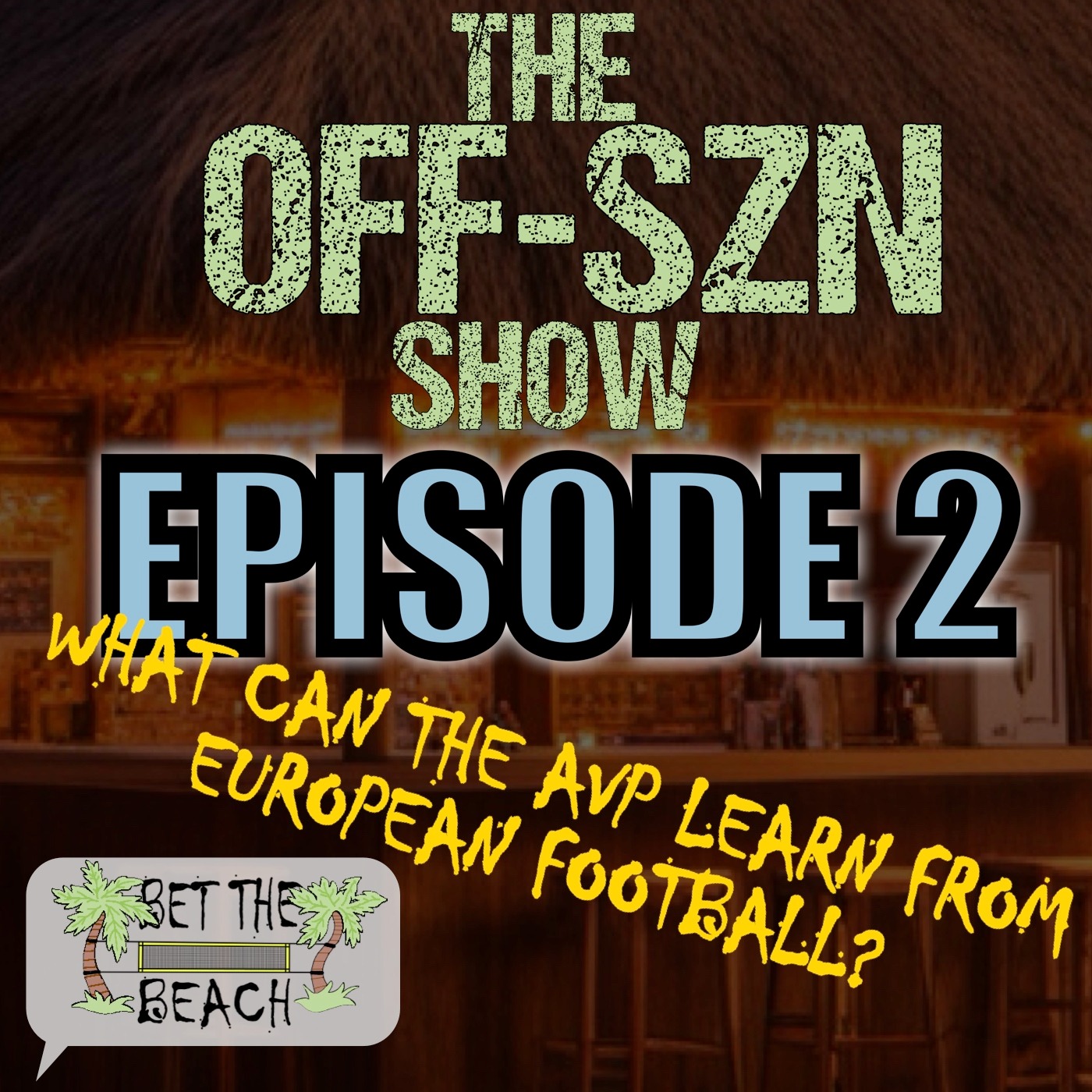 Episode 2: What can the AVP learn from European Football? episode artwork
