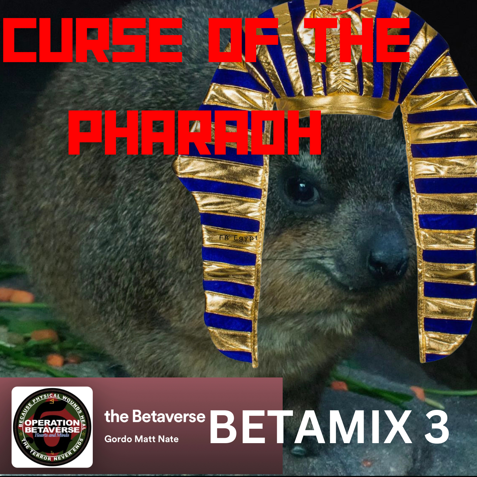 the Betaverse